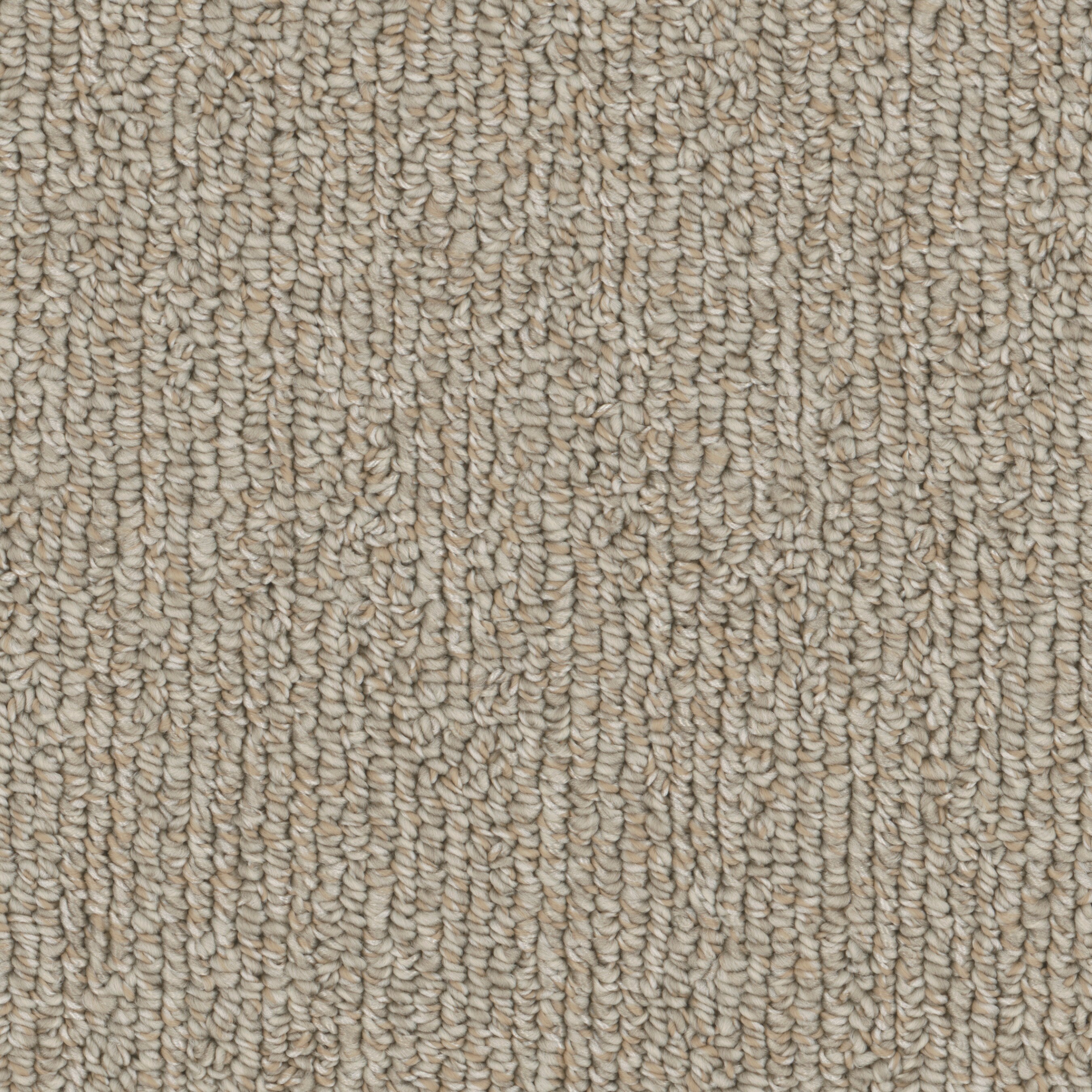STAINMASTER S9046-744-1200-MO Tailored Border Multi-Colored 46-oz sq yard Polyester Textured Indoor Carpet