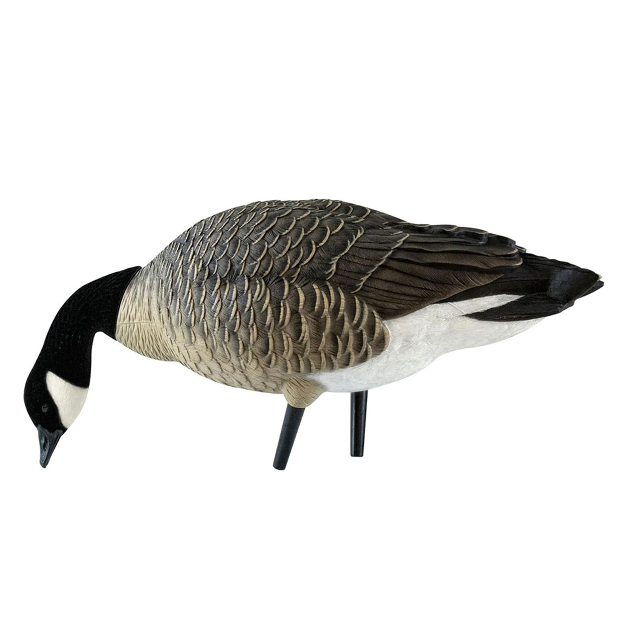  Avian X 399283 Hunting-Equipment - View #12