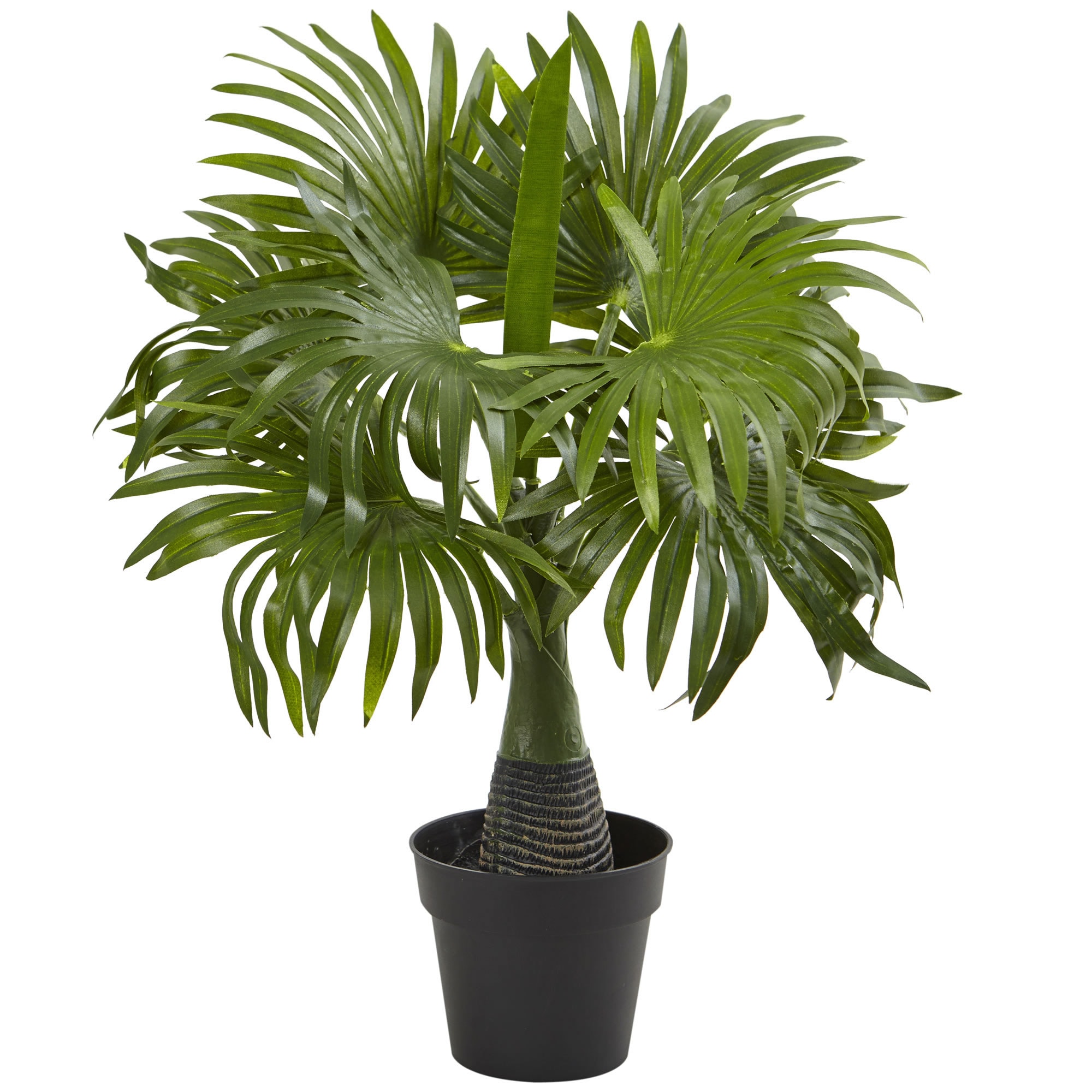 Nearly Natural P1642 15.5-Inches Green Indoor Desktop Silk Artificial plant