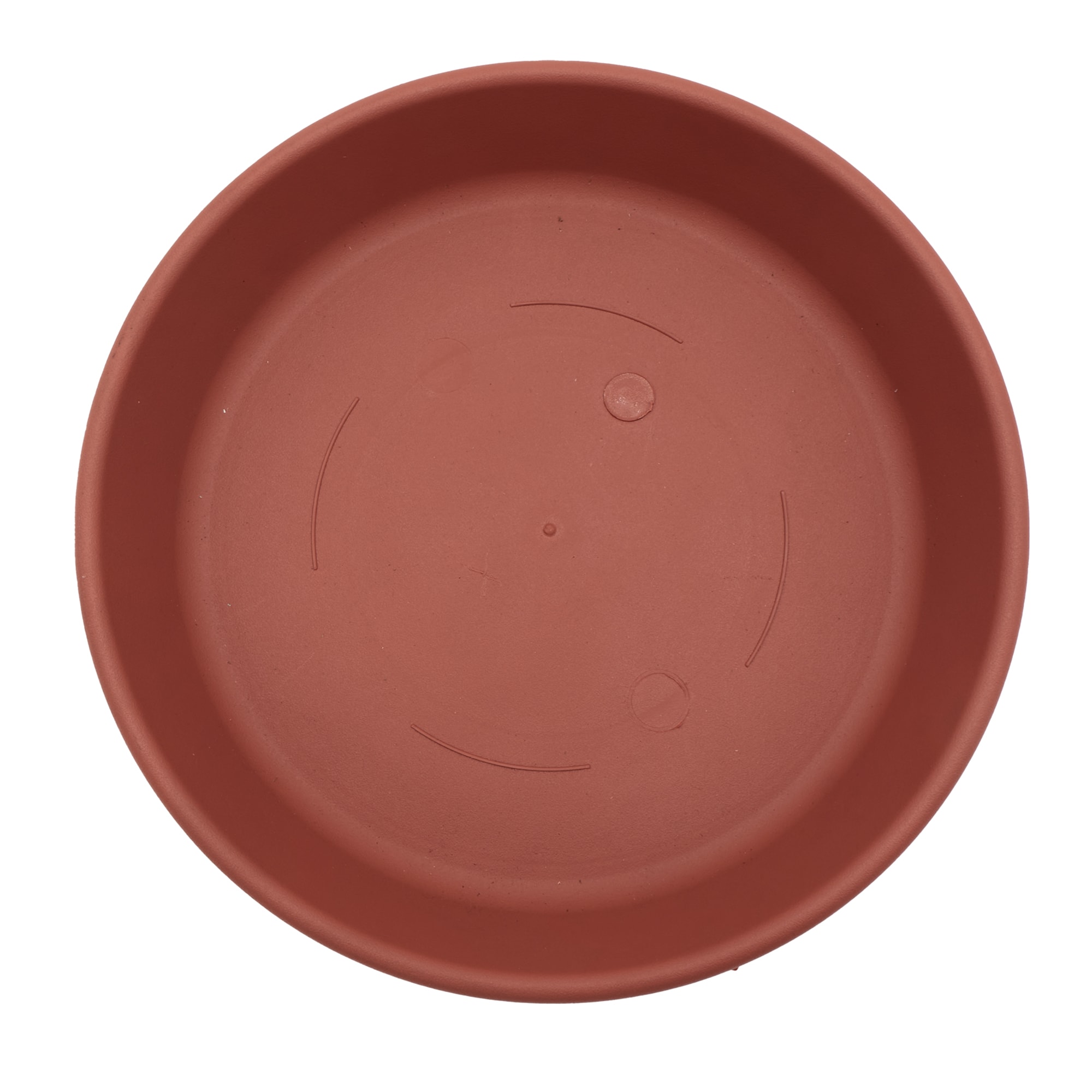 lighted plant terrarium SG instocks Live moss Terrarium with white light  The Capsule Story