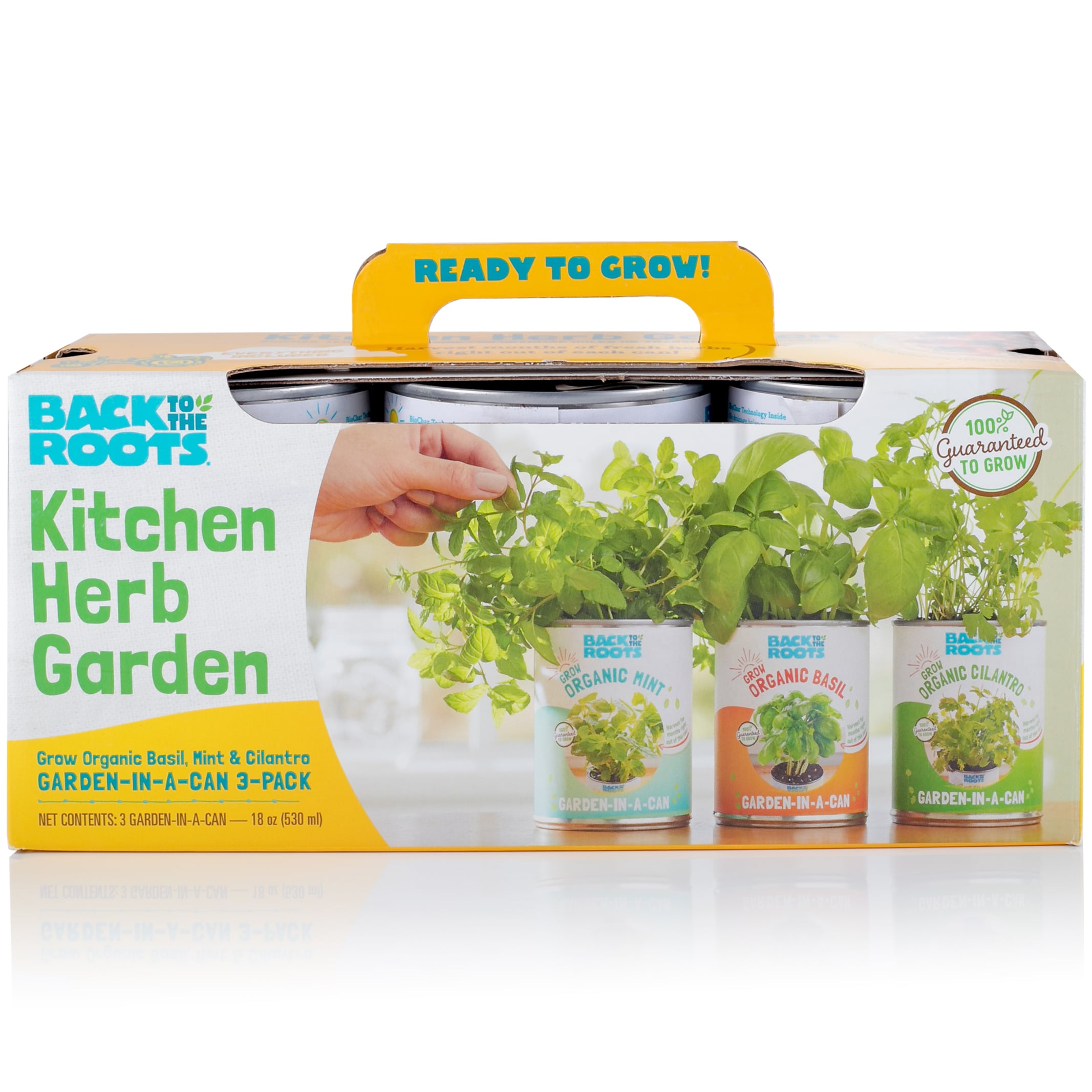 Back to the Roots Kitchen Herb Garden Organic Basil Mint and