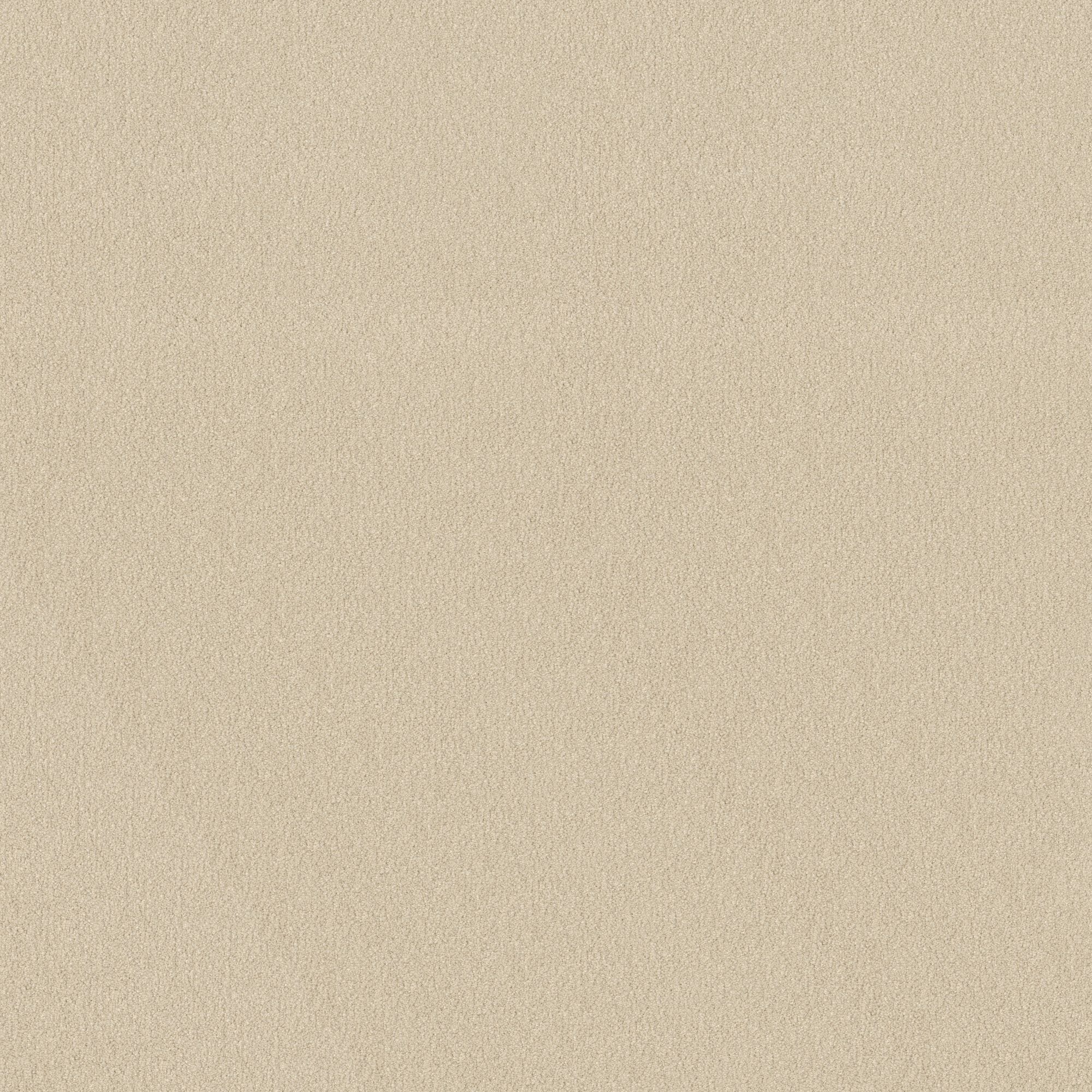 STAINMASTER PetProtect 7L882 - 101 - SAMP (Sample) Best of Breed II Cream Delight Off-white 58.5-oz sq yard Nylon Textured Indoor Carpet