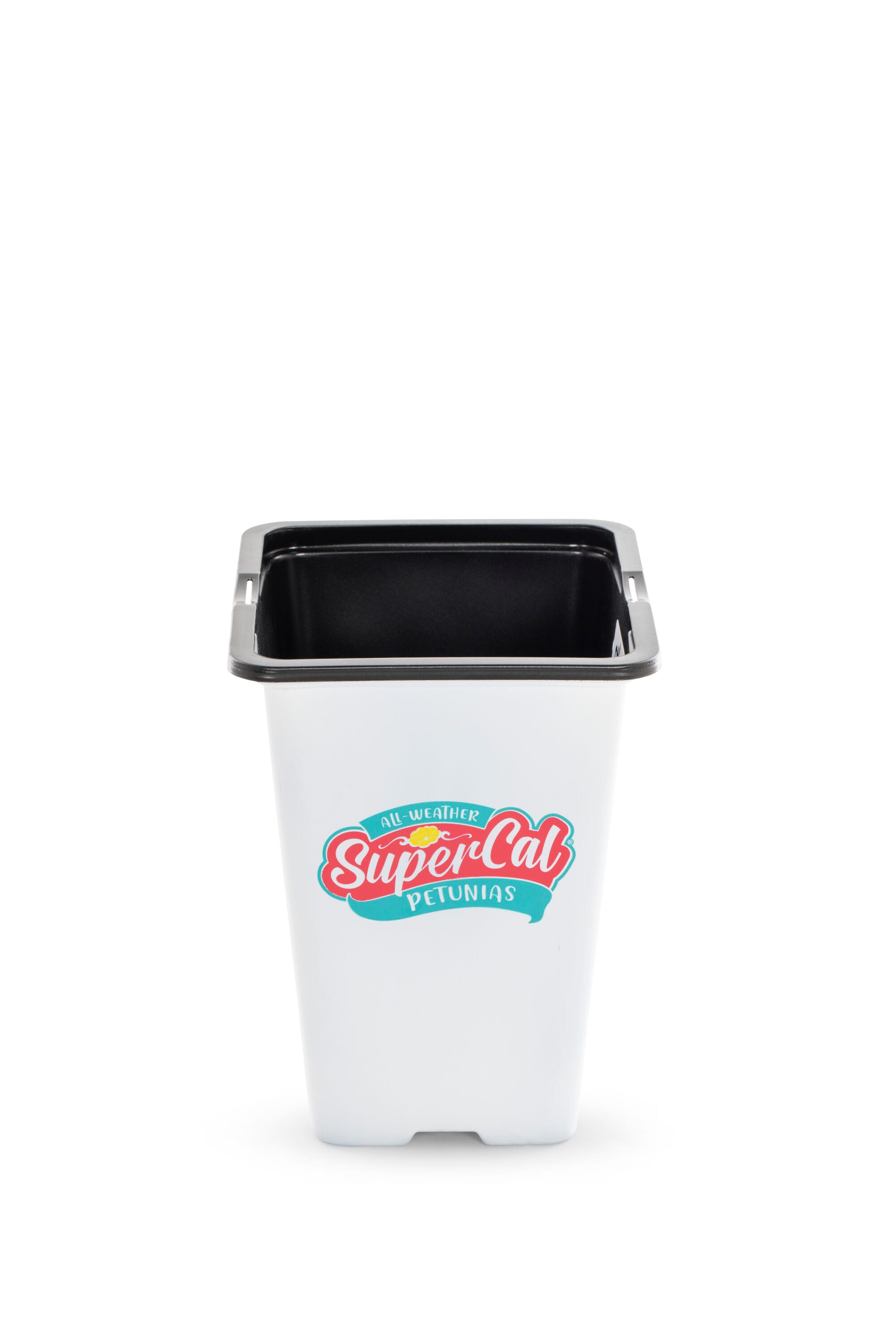 2 Quart(s) Blue Supercal 3 -Pack
