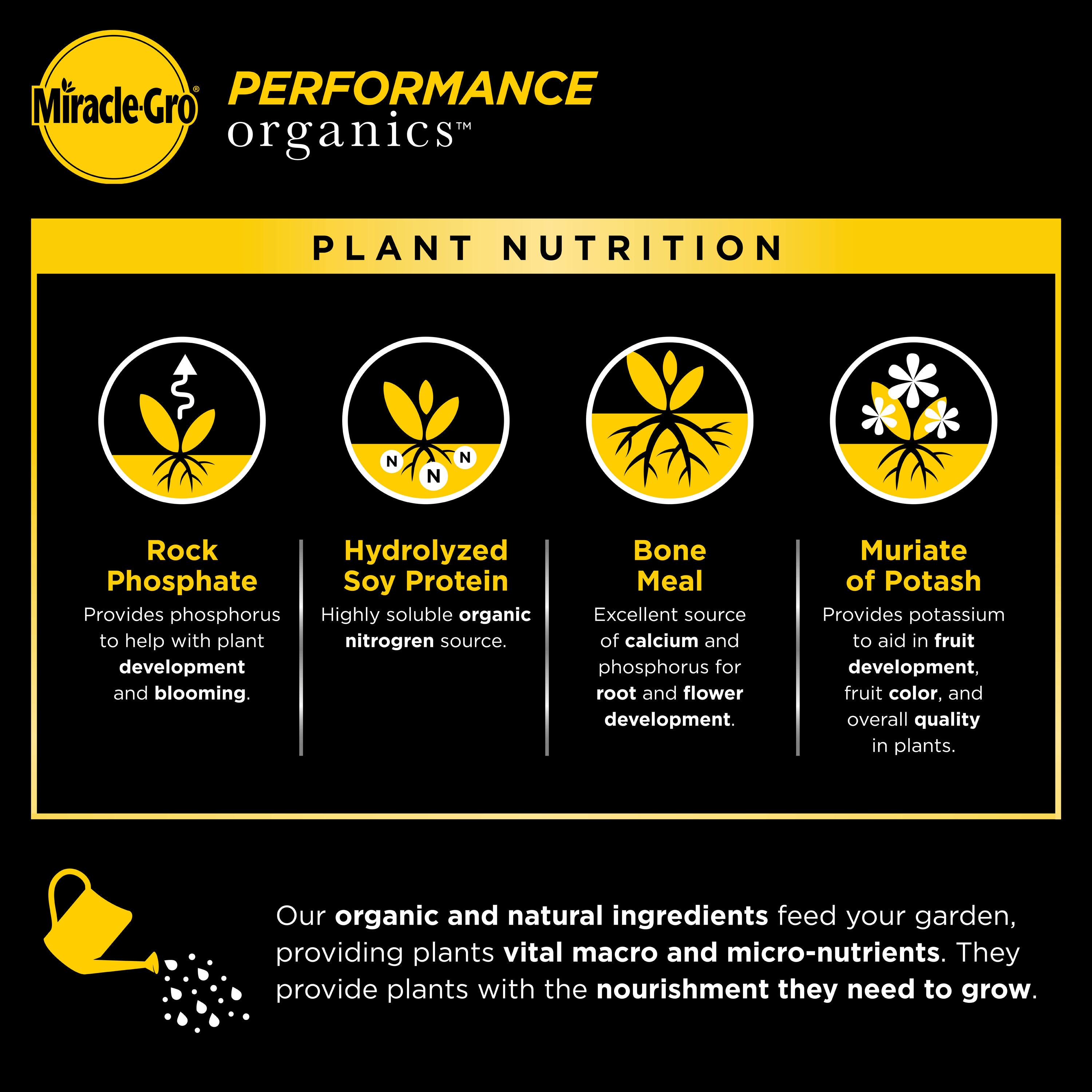 Miracle-Gro 3005310 Plant-Food - View #2