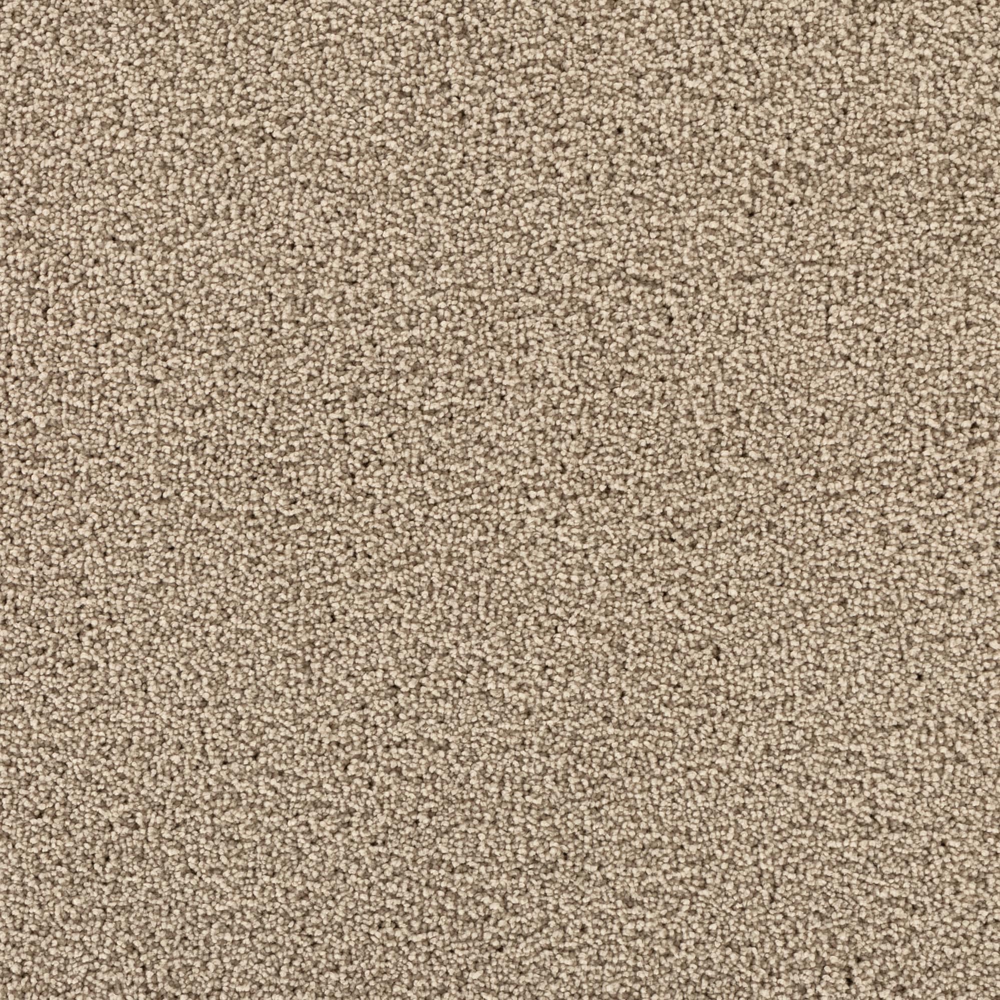 STAINMASTER STP43-12-L002 Soothing space I Starbright Gray 45-oz sq yard Polyester Textured Indoor Carpet
