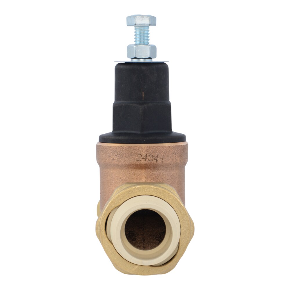 Cash Acme PVA16P-DUVC-60 Pressure-Relief-Valves-Regulators - View #2