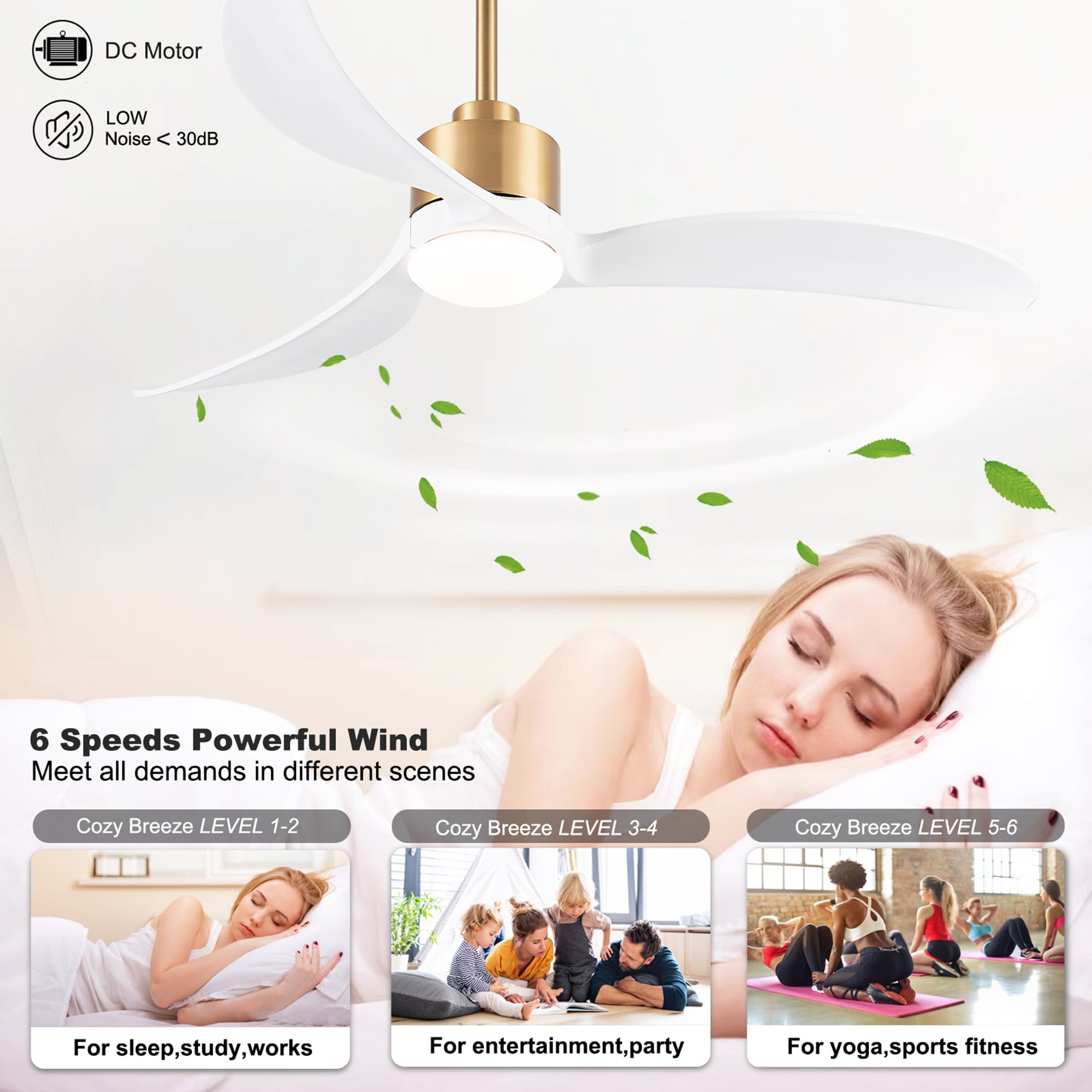SINOFURN SYC640002BK Ceiling-Fans - View #5