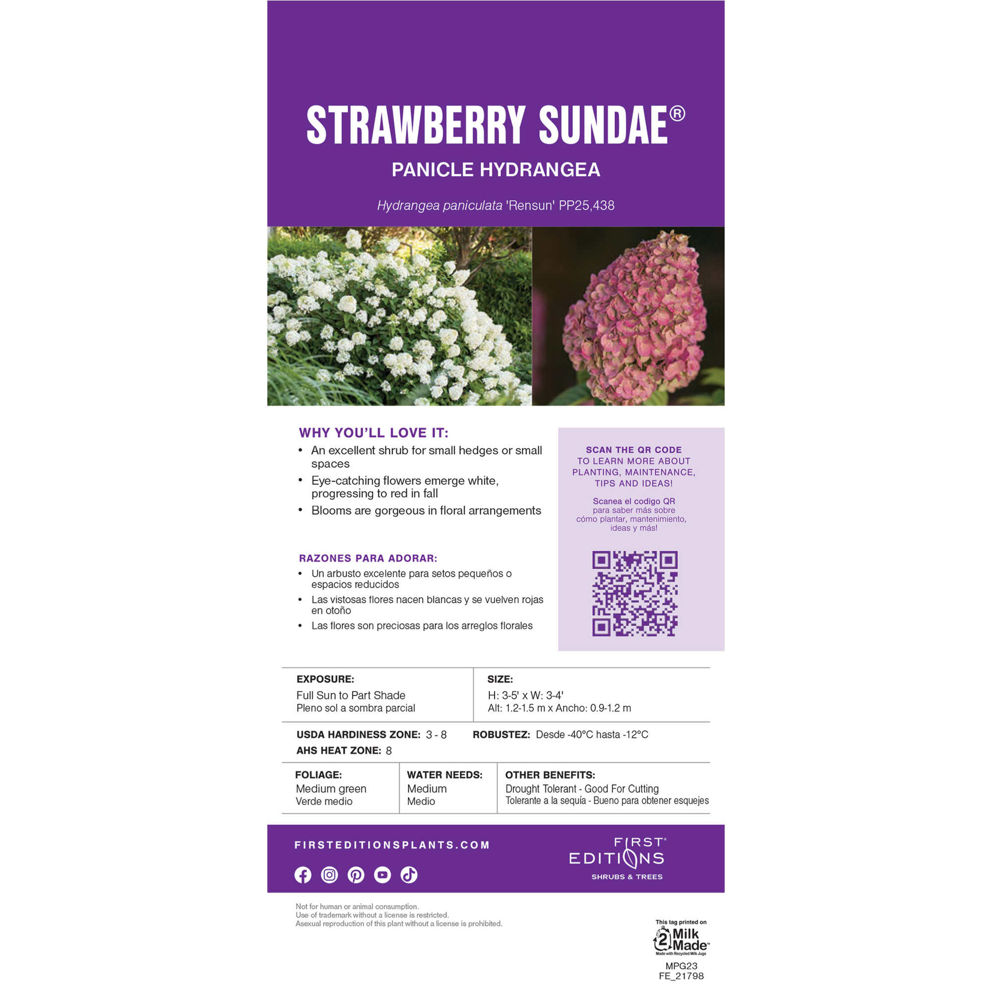 Lowe's NURSERY shrubs - View #19