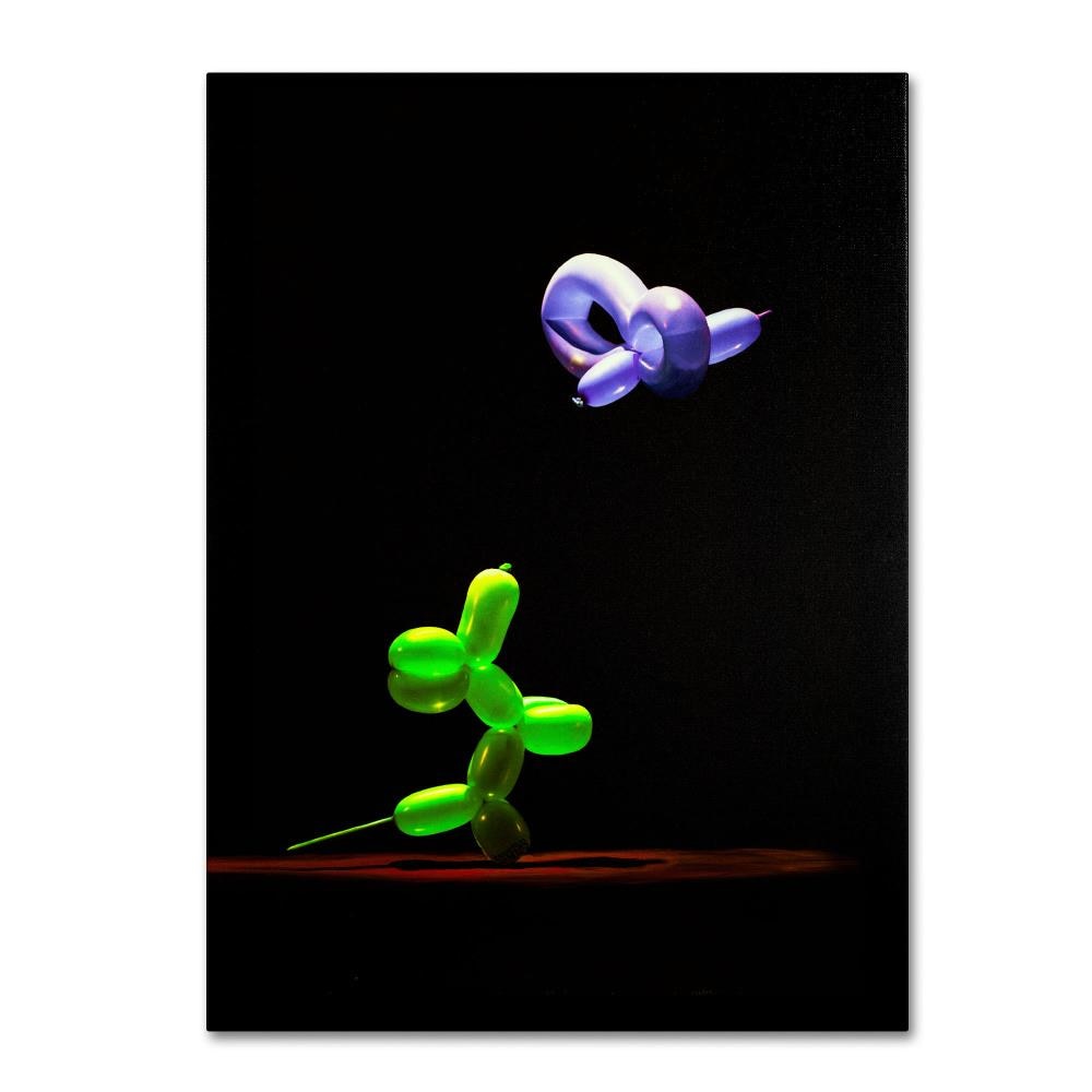 Trademark Fine Art RS879-C1824GG Framed 24-Inches H x 18-Inches W Whimsical Canvas Print
