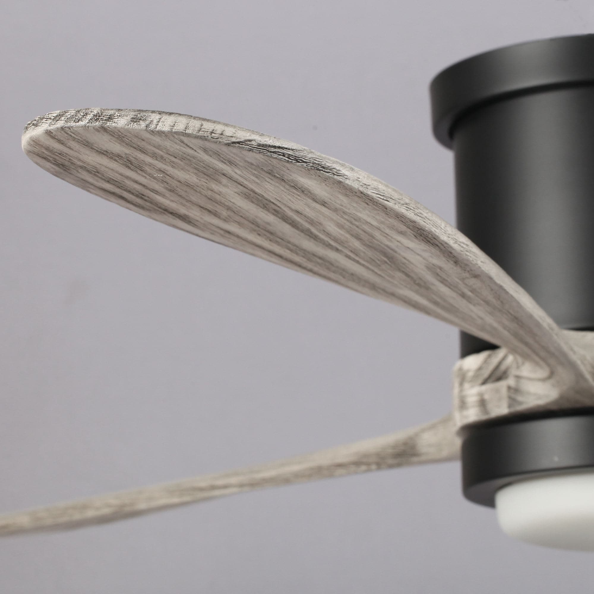 Parrot Uncle F6299BK110V Ceiling-Fans - View #10
