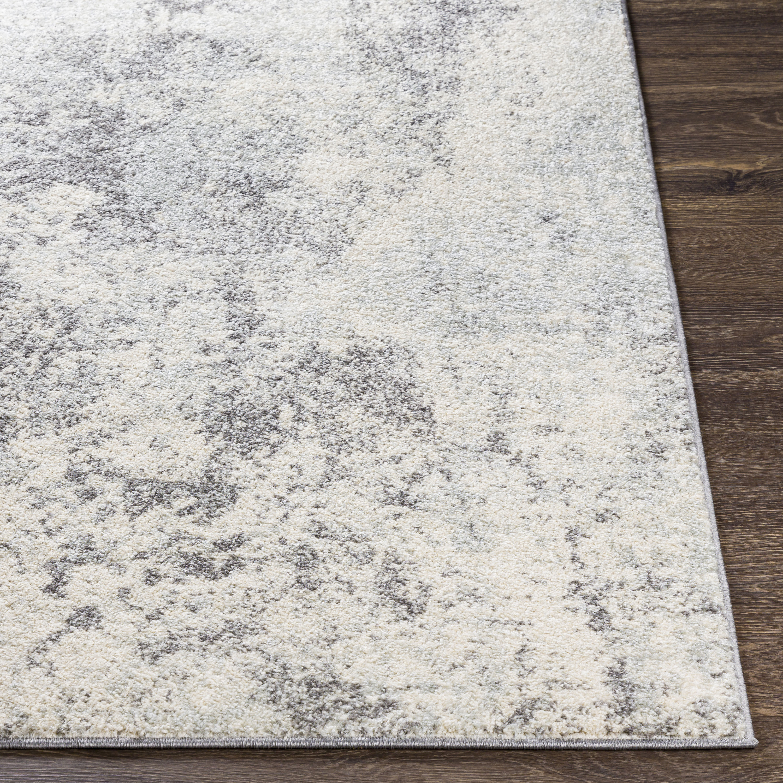 Surya CHE2360-679 rugs - View #2