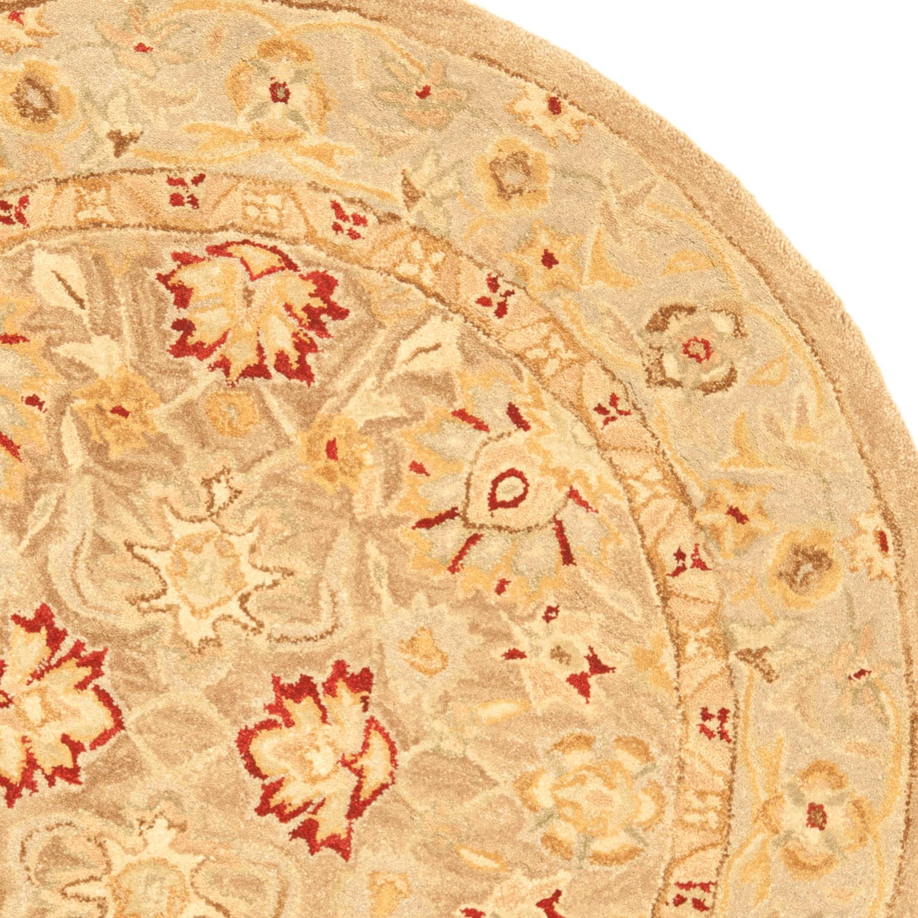 Safavieh AN522B-4R rugs - View #3