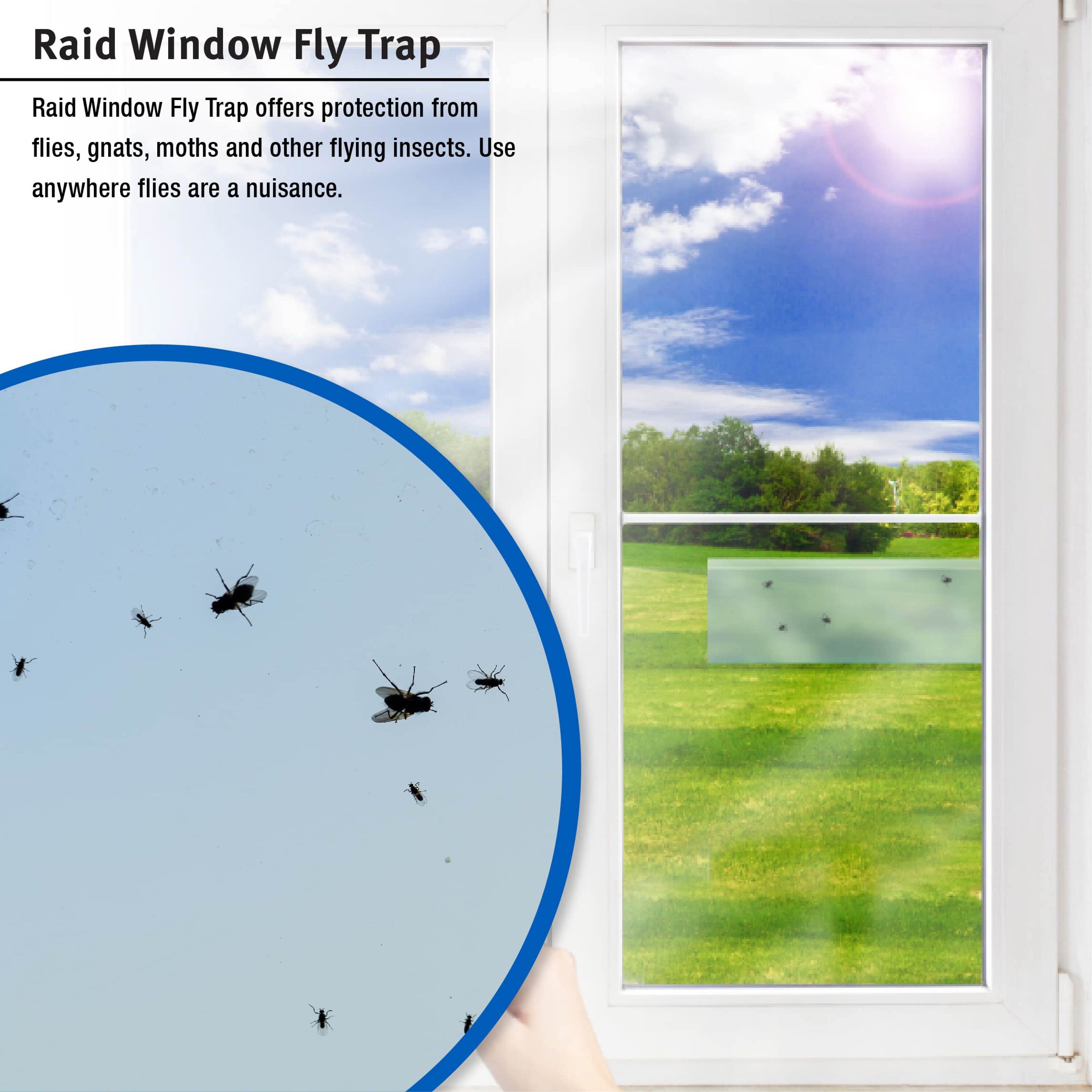Pic FTRP Window Fly Traps, Pack of 4 