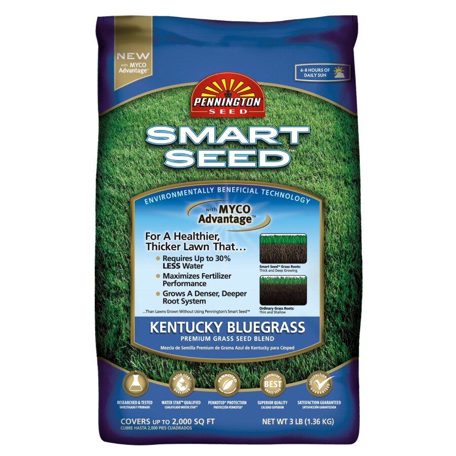 Pennington Smart Seed 3-lb Bluegrass Grass Seed in the Grass Seed ...