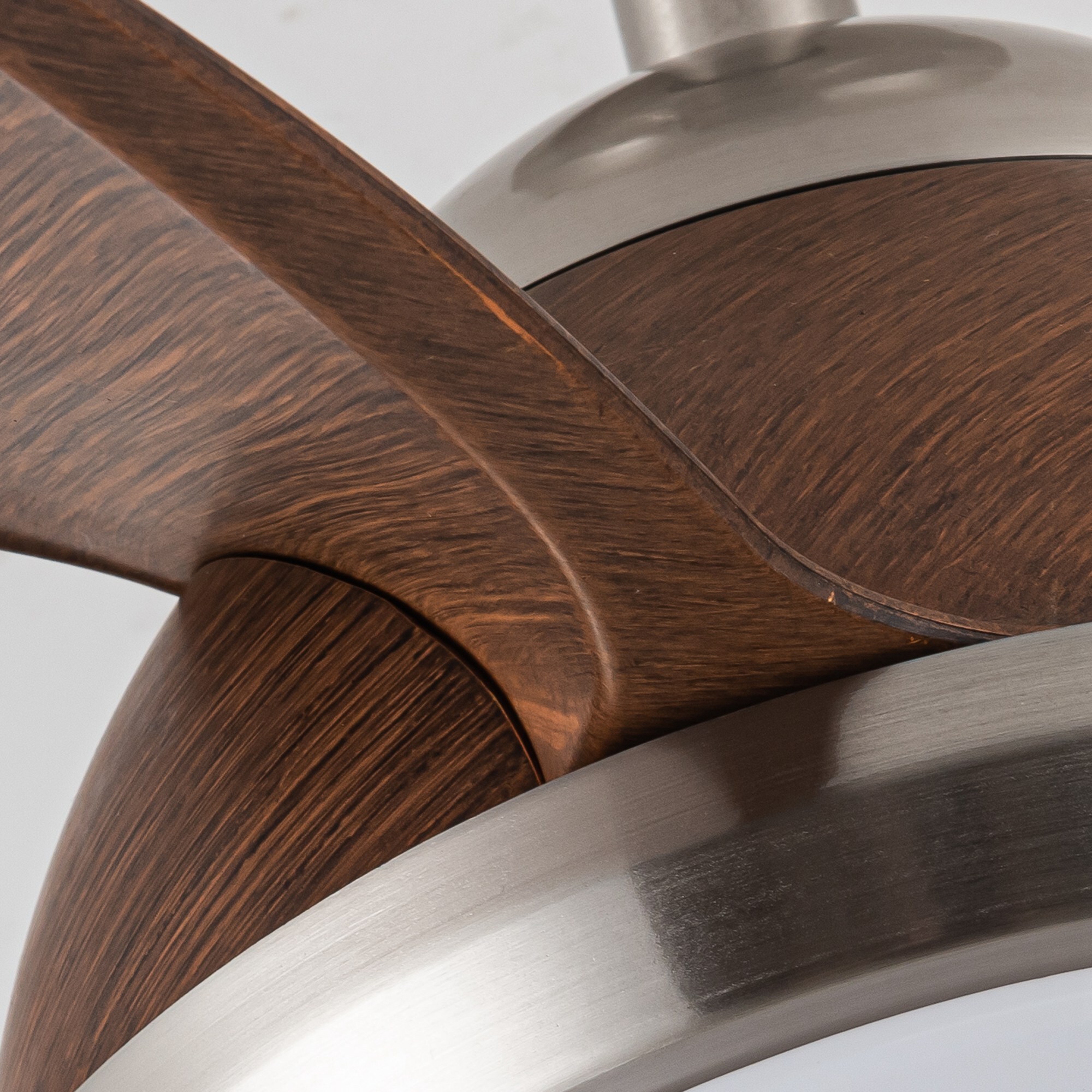 Parrot Uncle F6336110V Ceiling-Fans - View #10