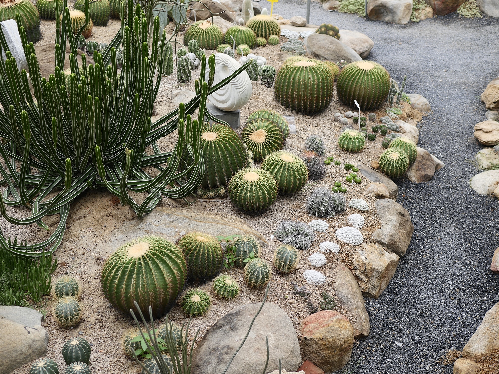 Yard Elements YDE002-0247 Landscaping-Rock - View #4