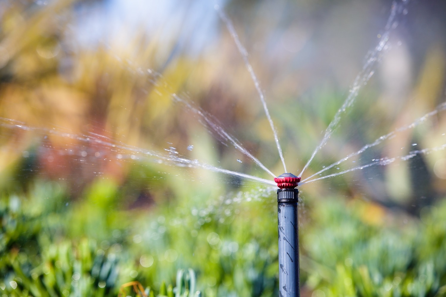 Rain Bird Undercut Nozzles For Sprinkler Irrigation Systems
