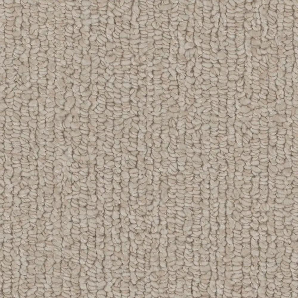 STAINMASTER S9546-30011-S (Sample) Baysprings Brown 46-oz sq yard Polyester Textured Indoor Carpet
