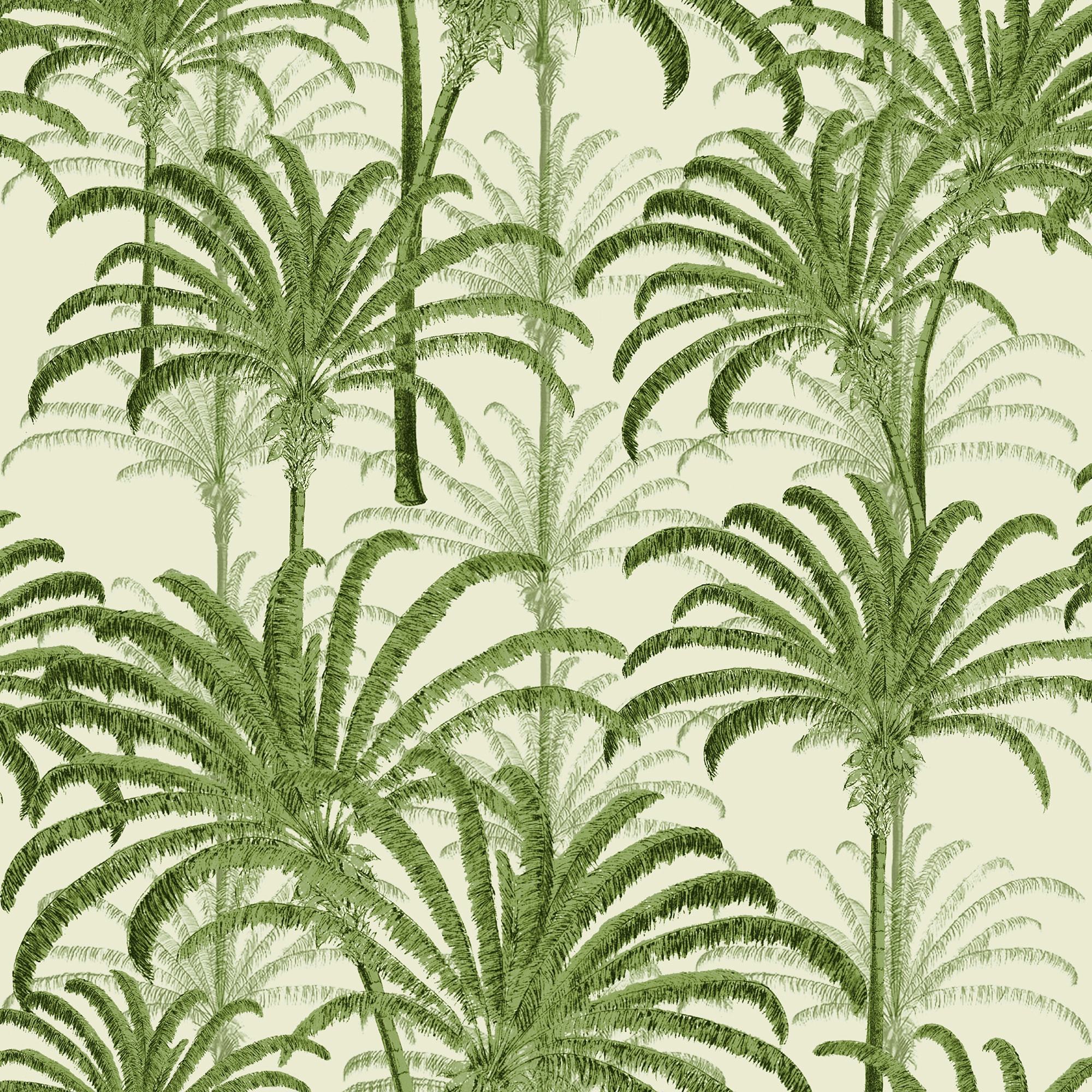 Rainforest Tropical Wallpaper Peel and Stick Jungle Flower  Etsy
