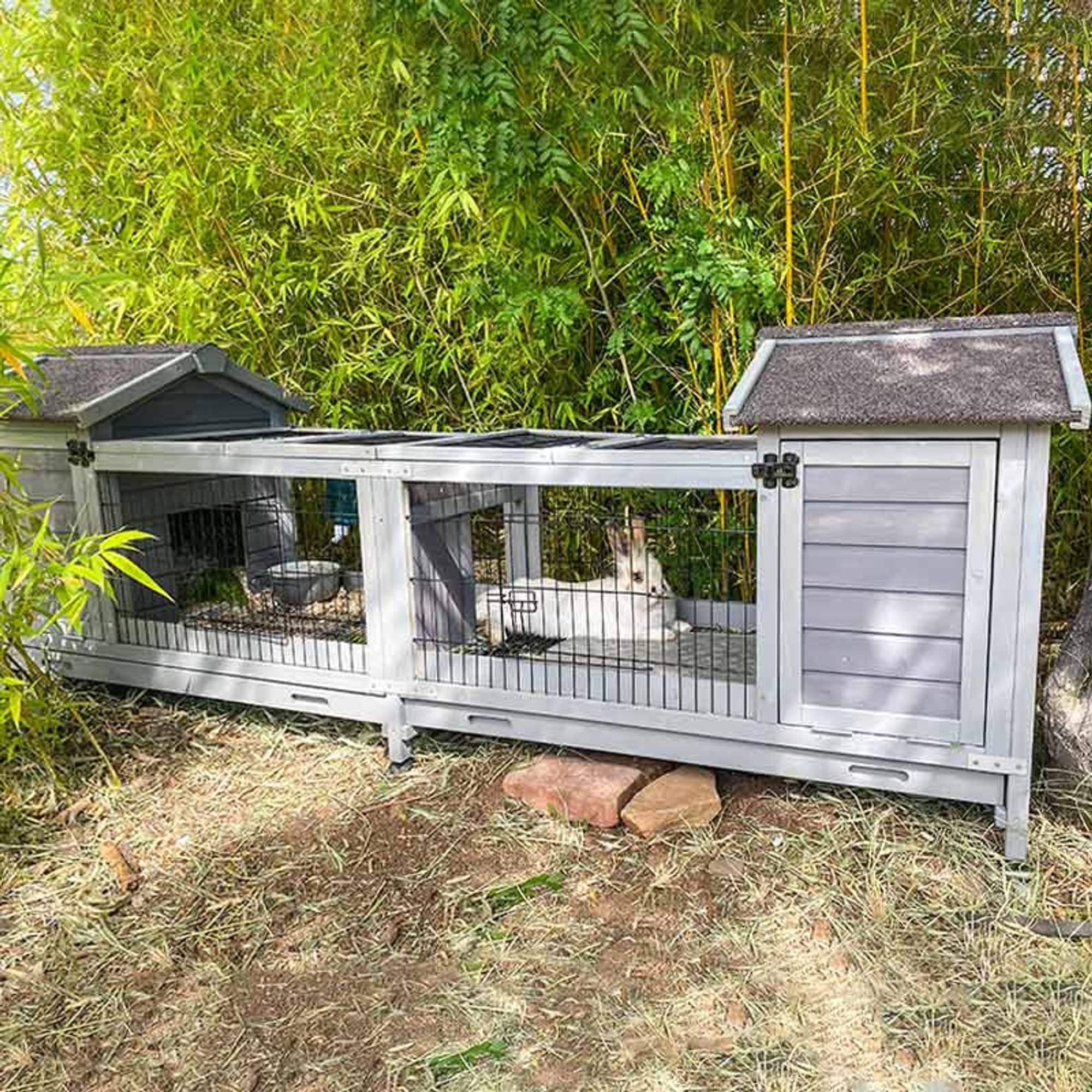 Aivituvin AIR68 Chicken-Coops-Rabbit-Hutches - View #2