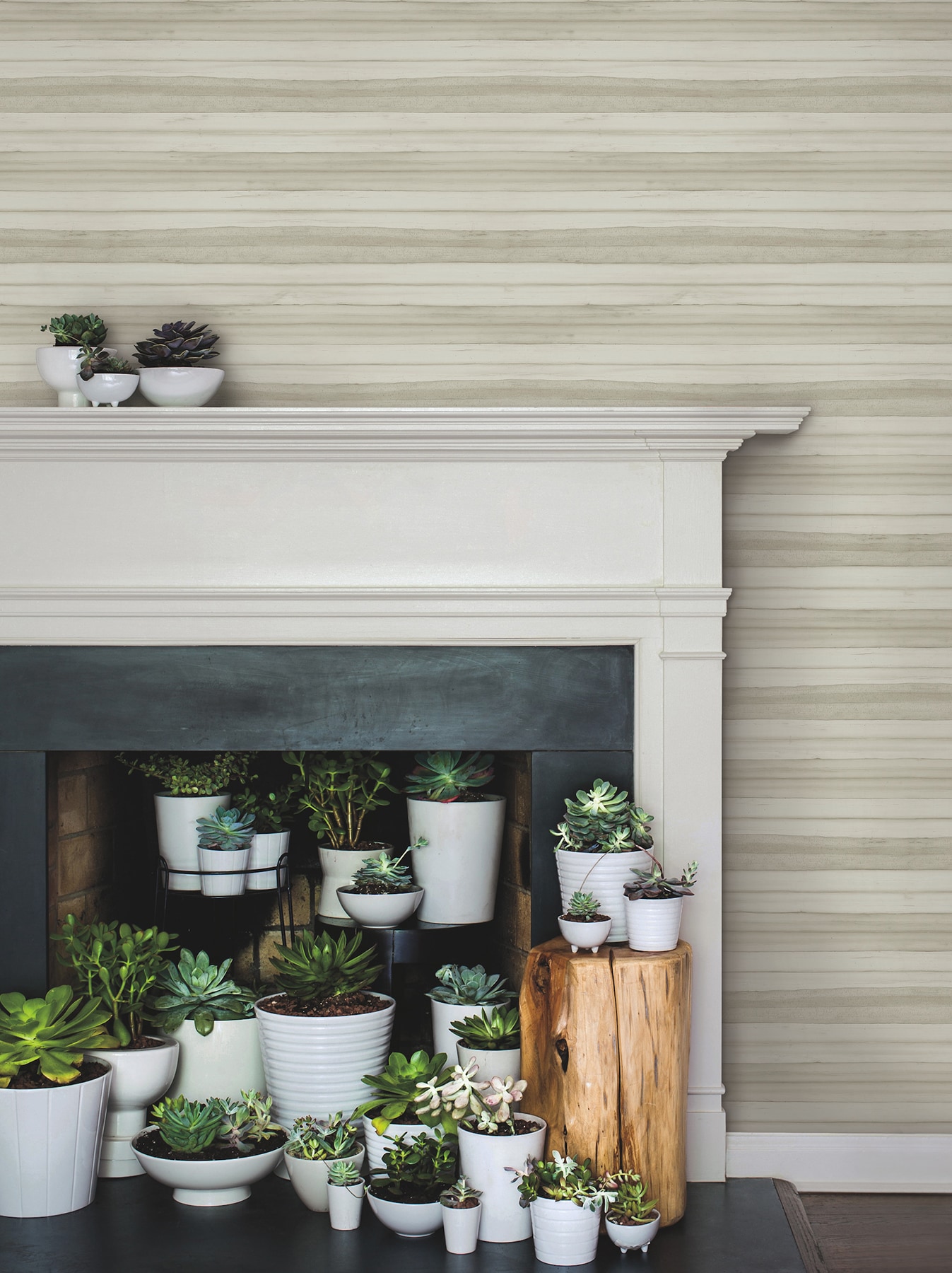 York Wallcoverings GO8263 wallpaper - View #2