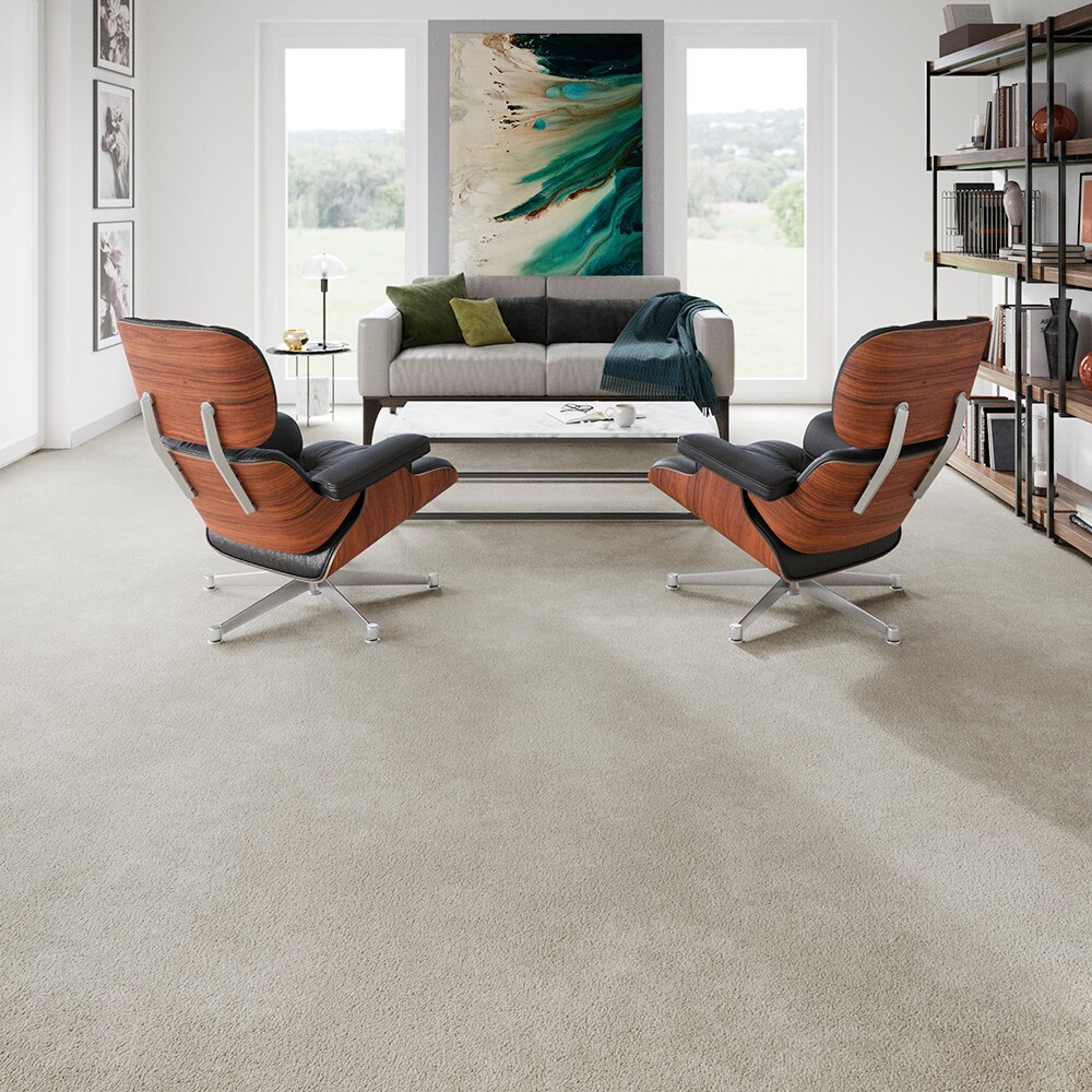 STAINMASTER PetProtect SS005-L003-0808 Carpet-Samples - View #6