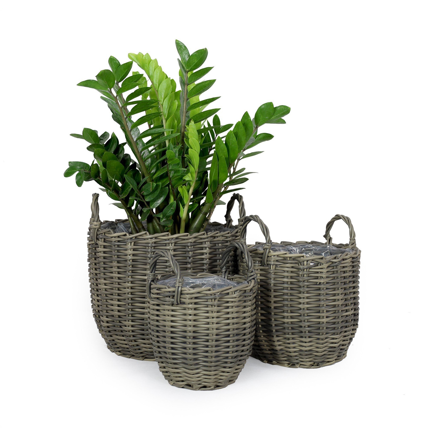 Kahomvis DTY-QPB0-686 Planter-Window-Box - View #2