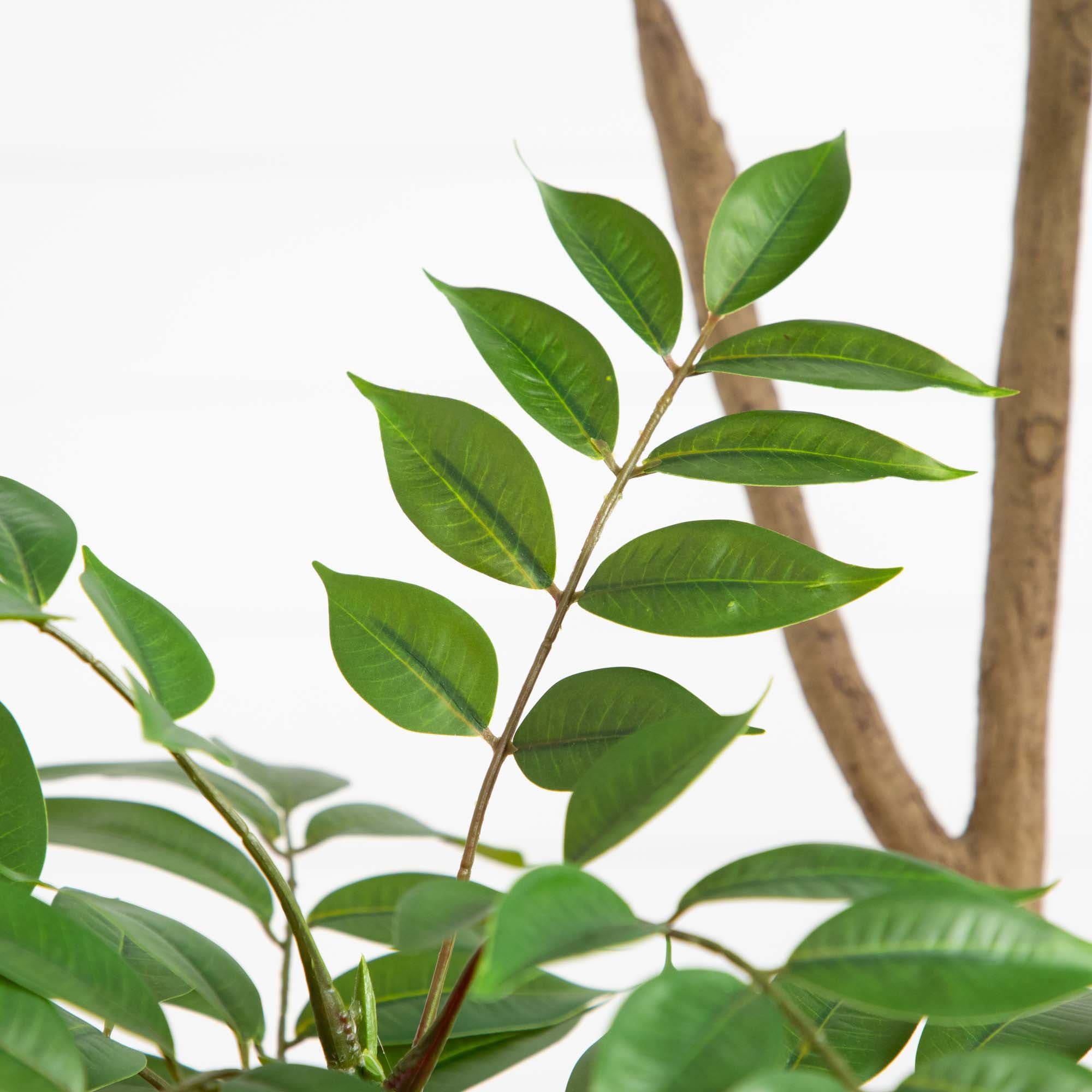 Nearly Natural T4823 Artificial-Plants-Trees - View #3