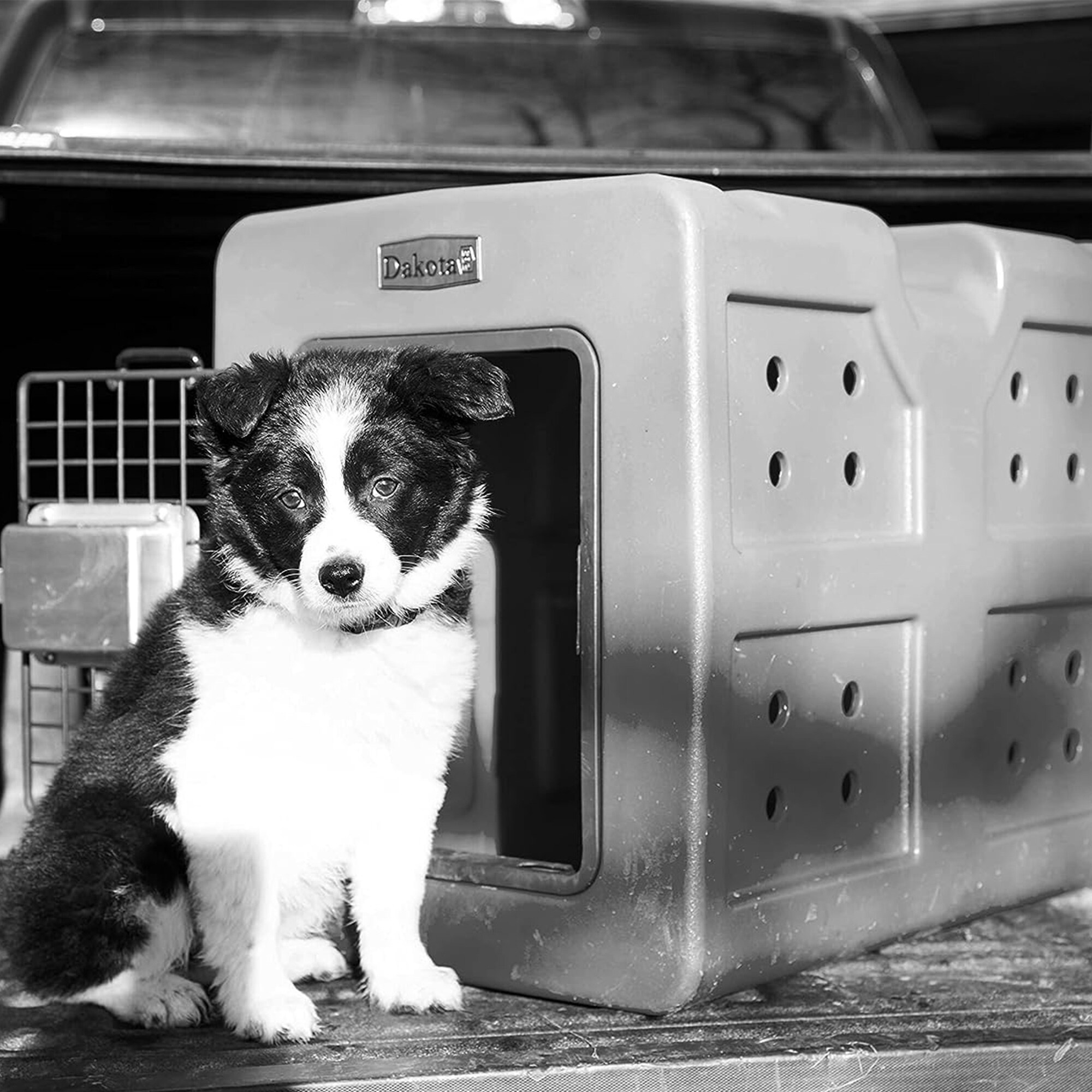 Dakota 283 324497 Pet-Crates-Carriers - View #5
