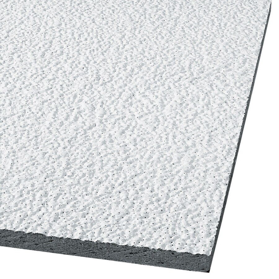 Armstrong Ceilings 860 48-in x 24-in Armatuff 8-Pack White Textured 15/16-in Drop Acoustic Panel Ceiling Tiles