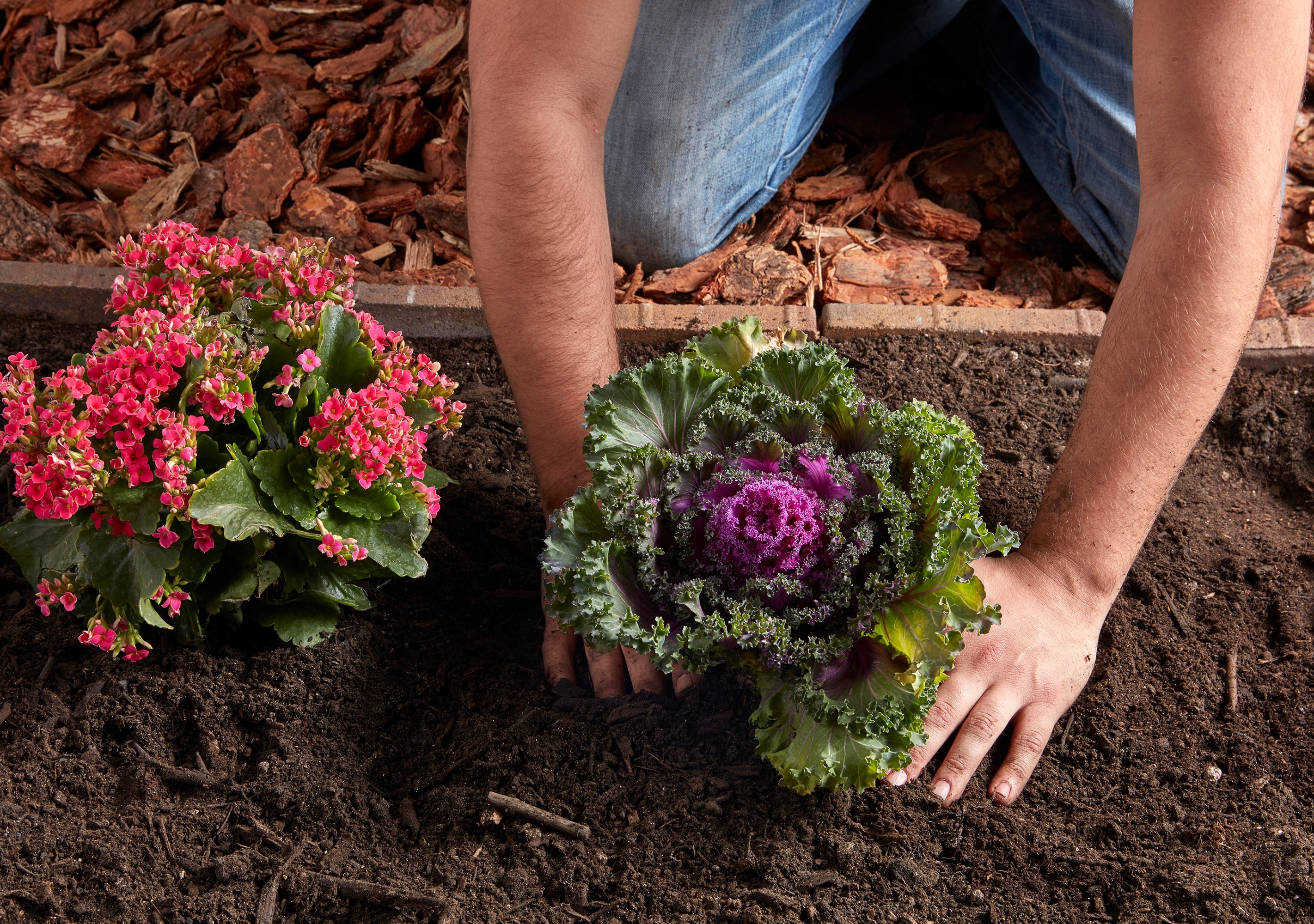  BULK-GS-8YD Garden-Soil-Soil-Amendments - View #6