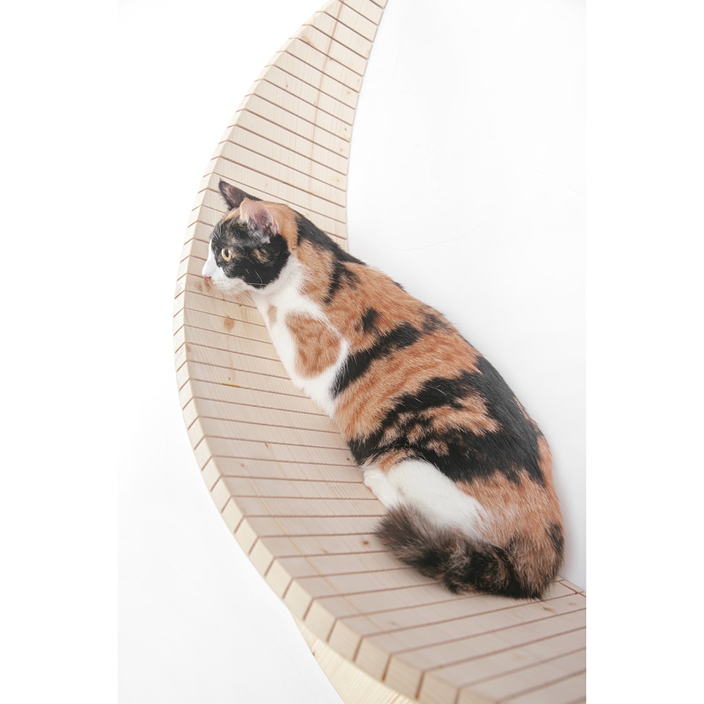 MyZoo Luna Wood Cat Steps in the Pet Steps & Ramps department at ...