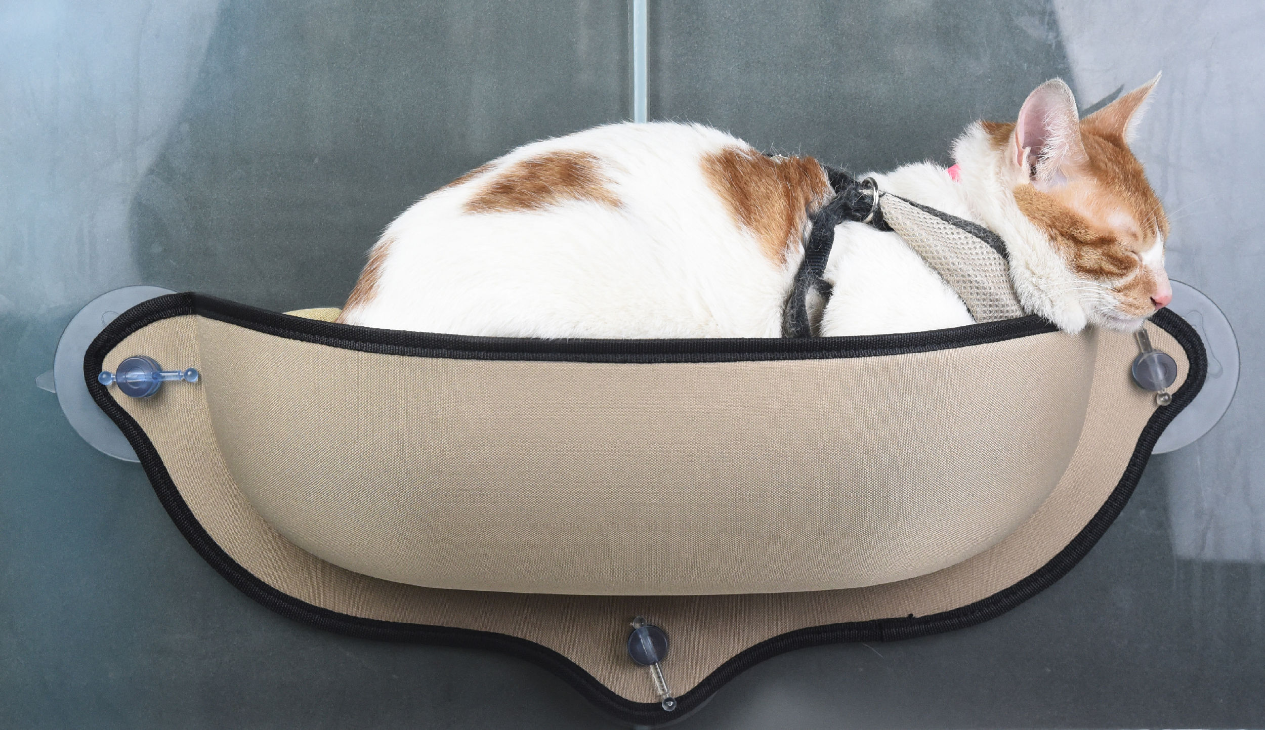 Pet Life CA5BR Pet-Beds - View #2