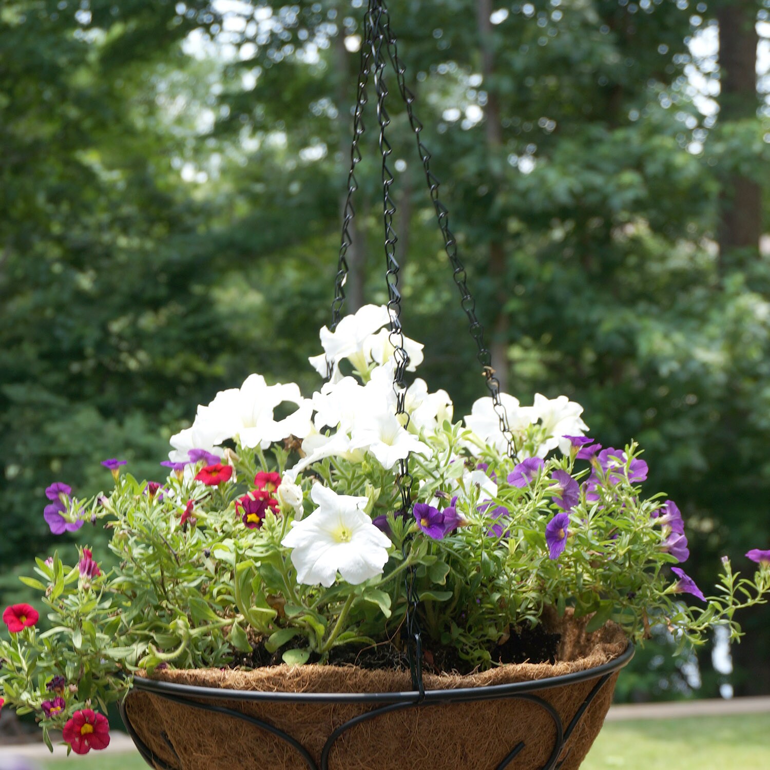 Patio Life 53055 Planter-Window-Box-Hardware - View #5