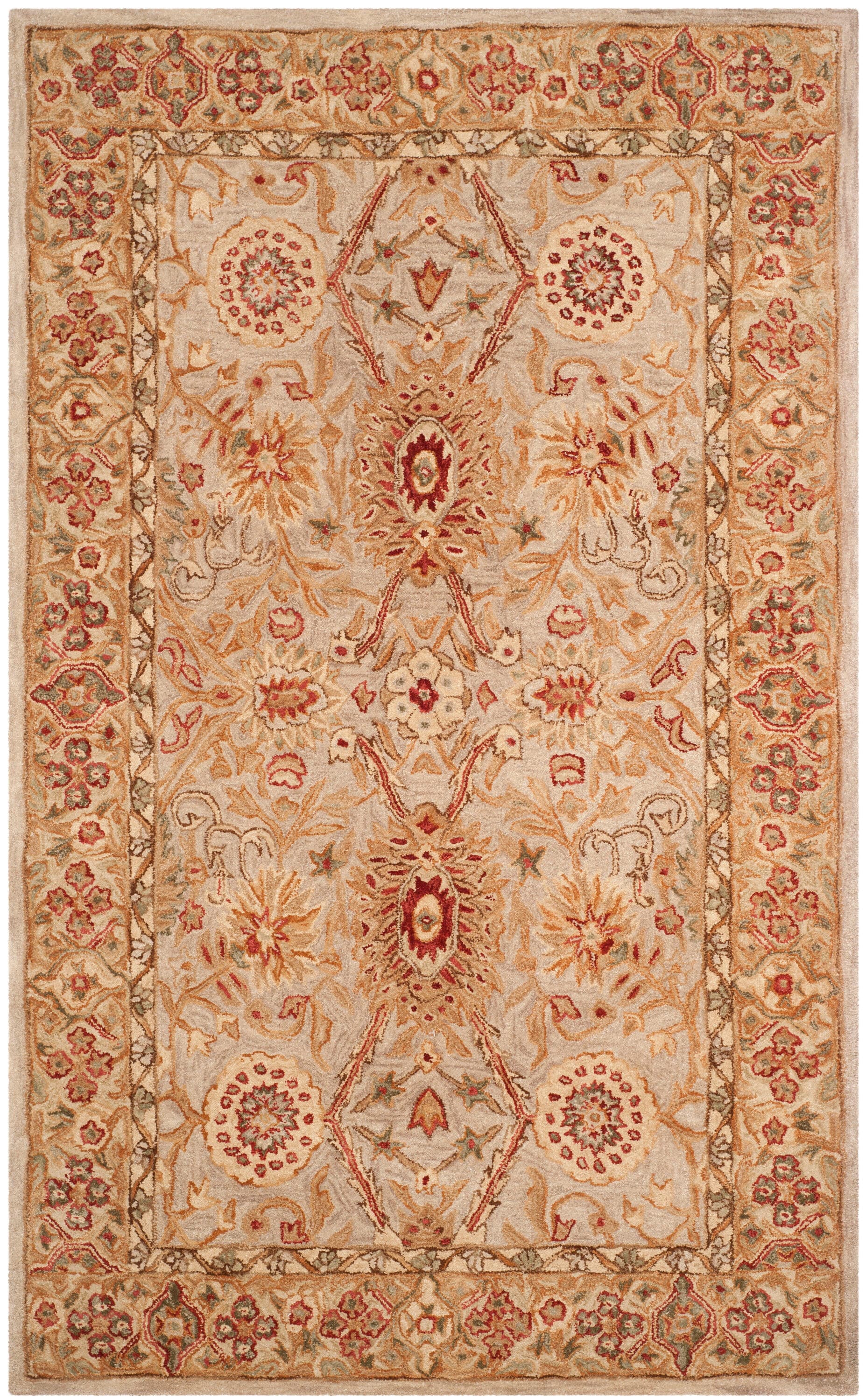 Safavieh AN516B-5 rugs - View #2