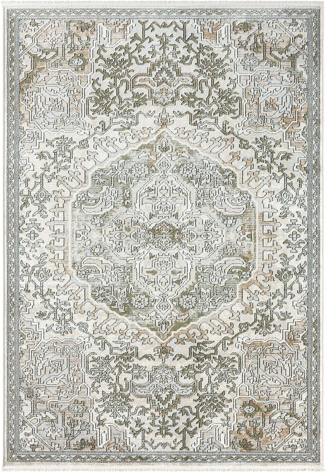 Abani Rugs SAV160A-4 rugs - View #2