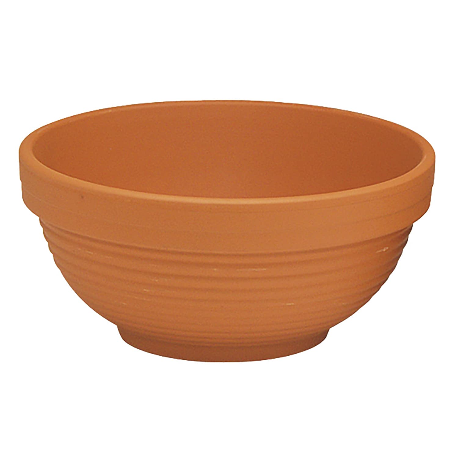 Low Bowl Planter for Attractive Displays | Lowe's