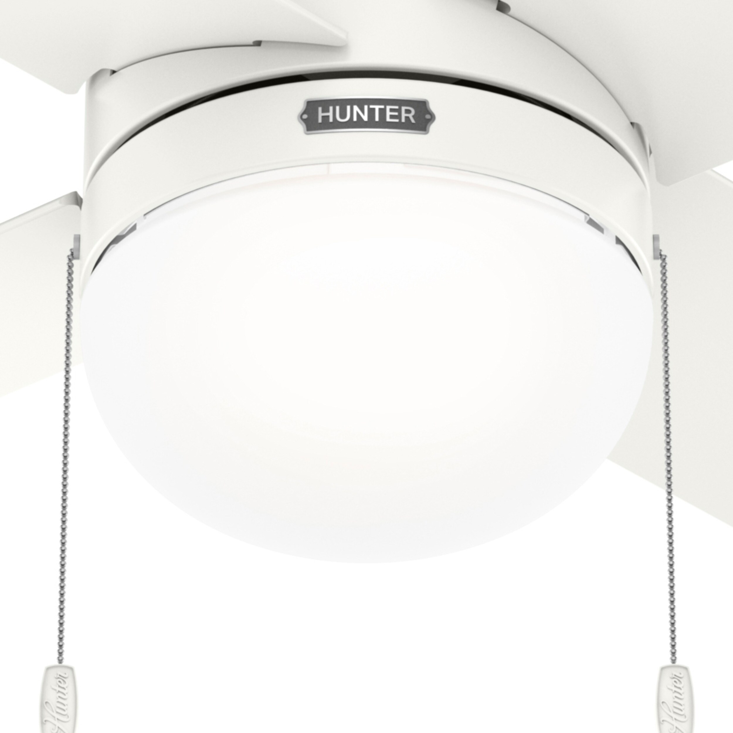 Hunter 52421 Ceiling-Fans - View #10