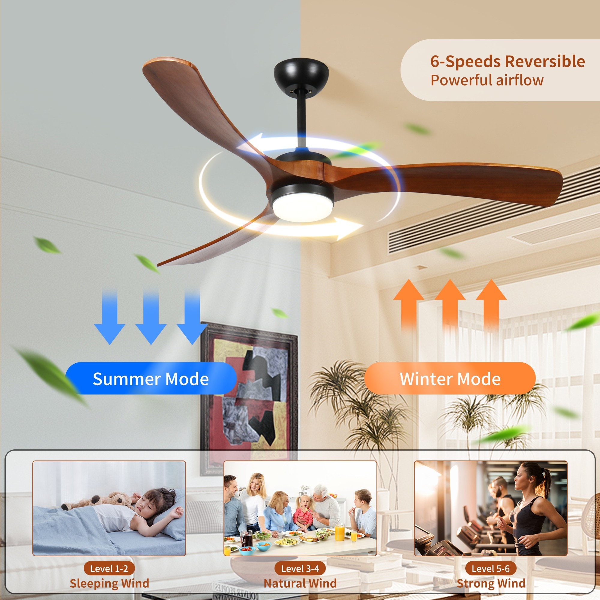 Dexmalle W2878P254289 Ceiling-Fans - View #2