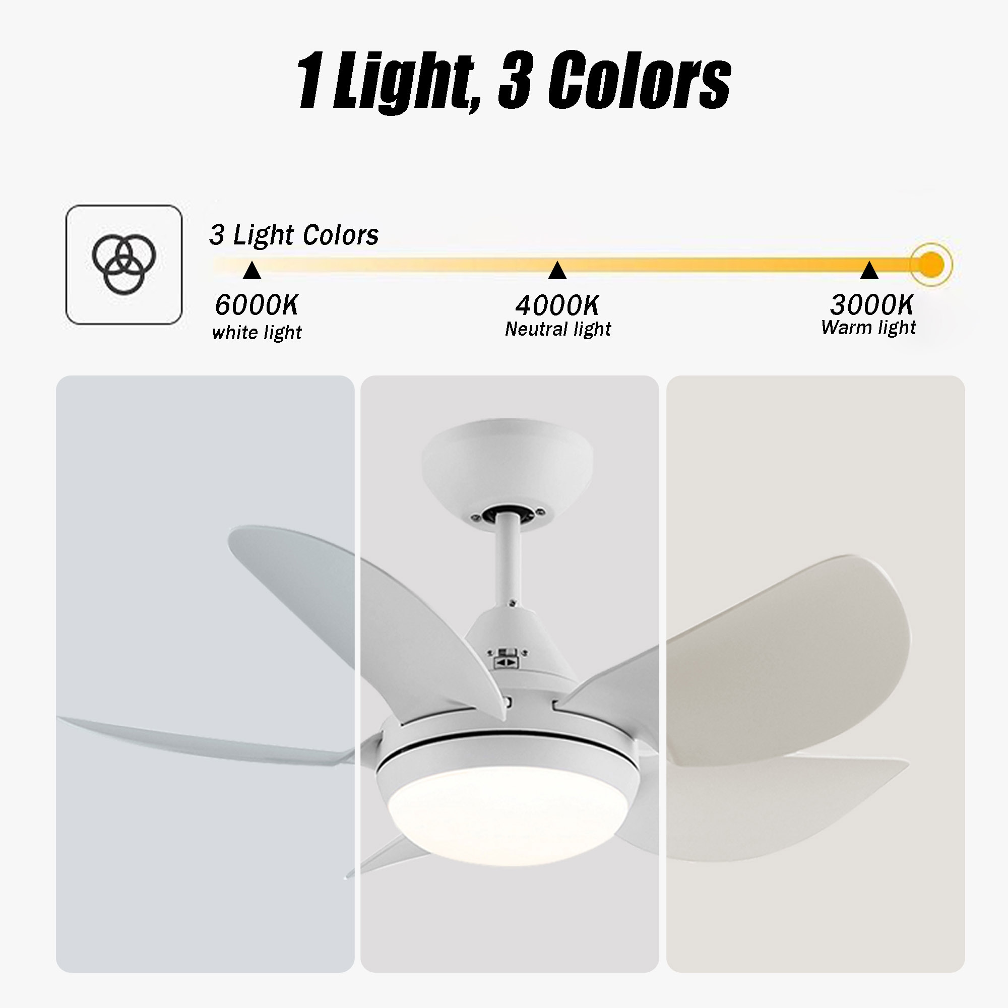 Sunrinx CF-22-DS Ceiling-Fans - View #8