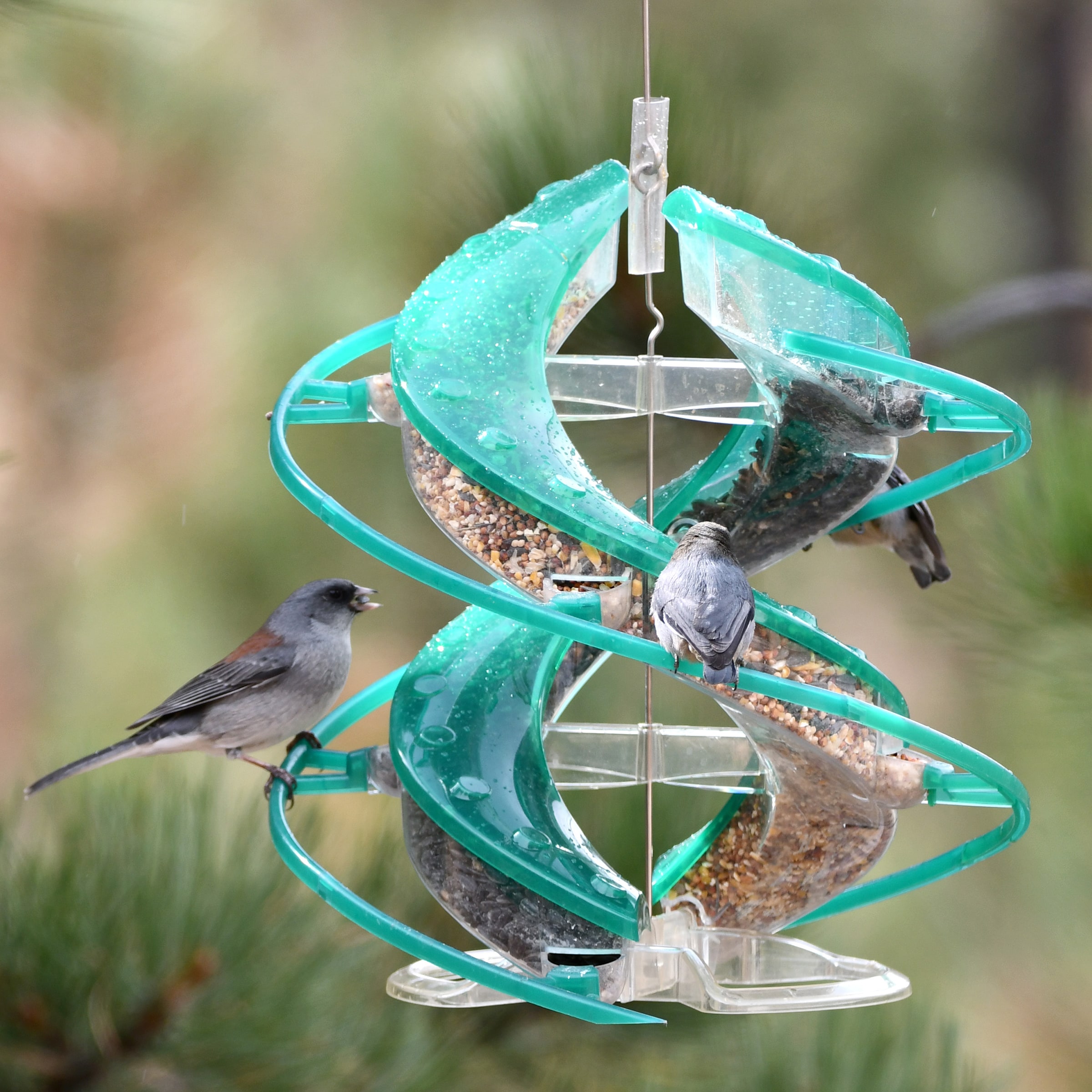 Cascade 25494 Bird-Feeders - View #4
