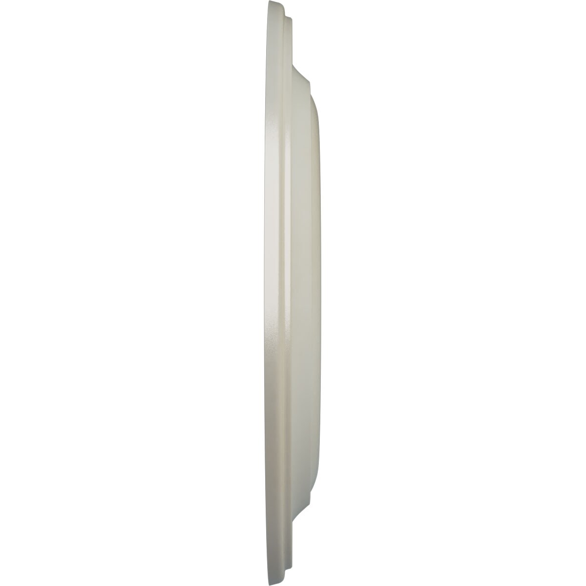Ekena Millwork CM18NIFBS Ceiling-Medallions - View #3