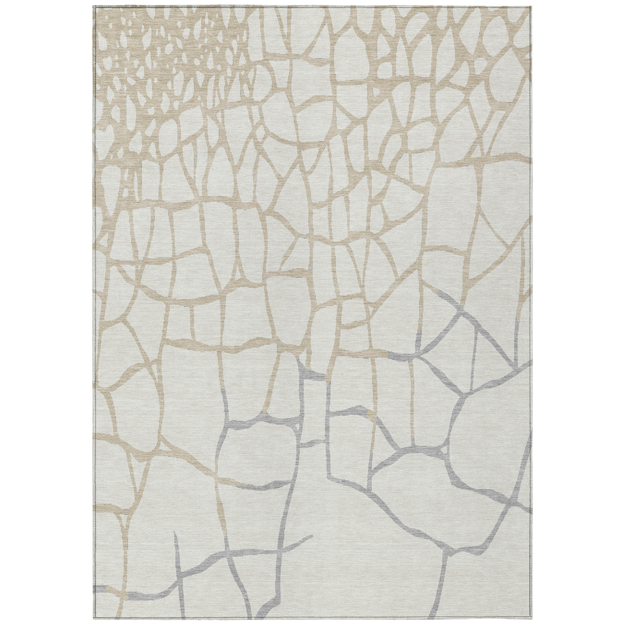 Addison Rugs ACN1049IV5X8 rugs - View #2
