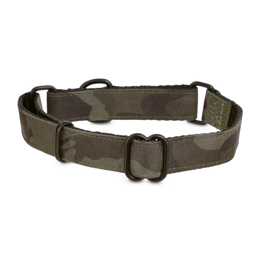 EveryYay 3289145 Dog-Collars-Harnesses - View #3