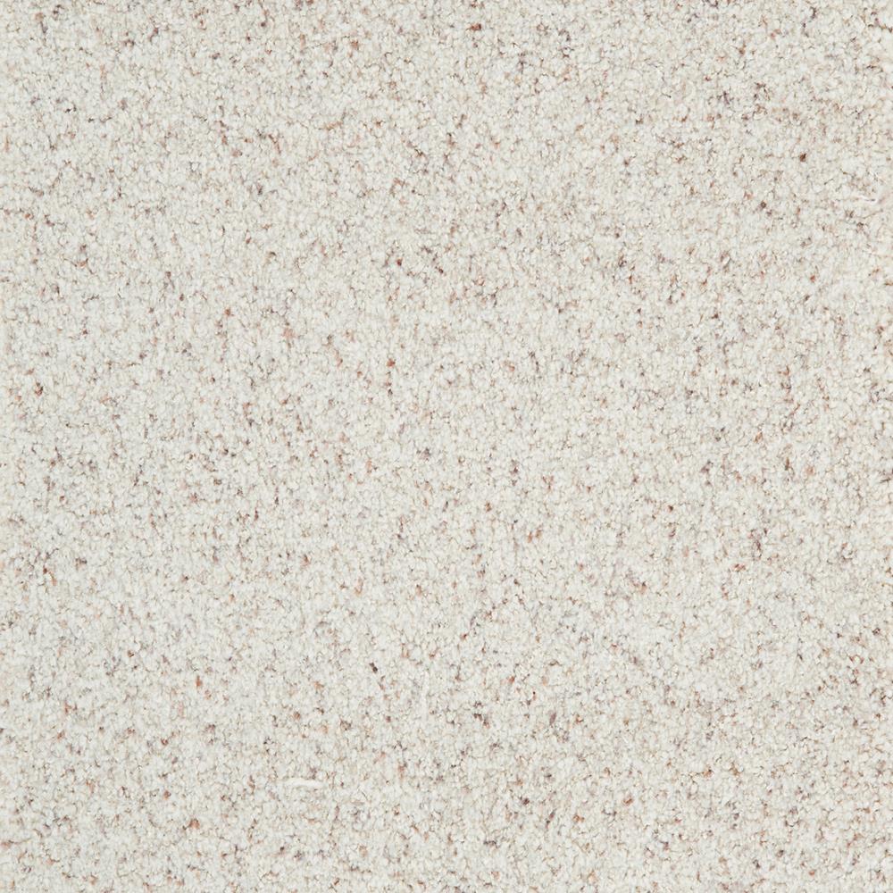 STAINMASTER DL46A-102 Signature Quantum Accomplish Textured Indoor Carpet