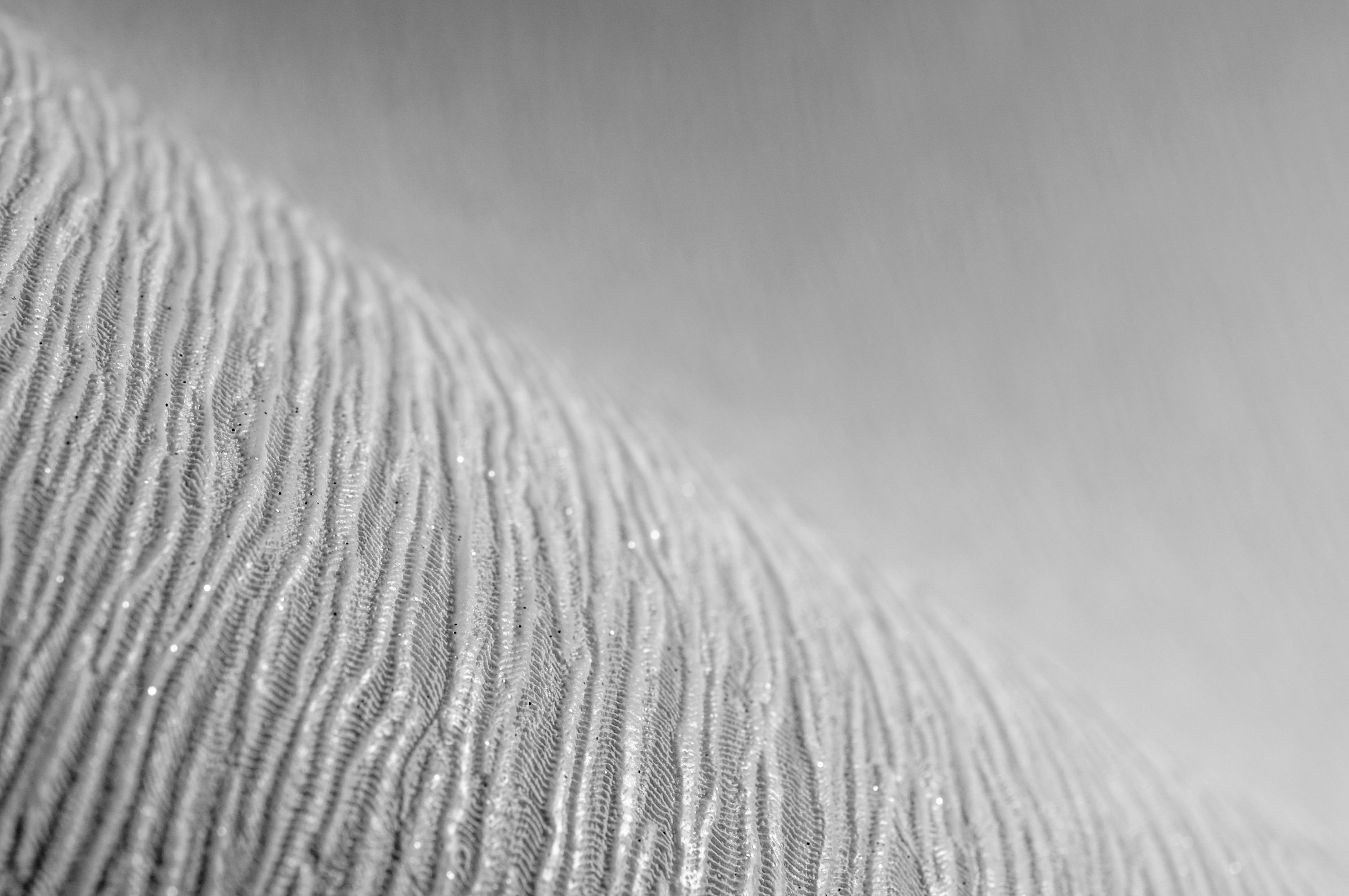 Graham & Brown 101441 wallpaper - View #3