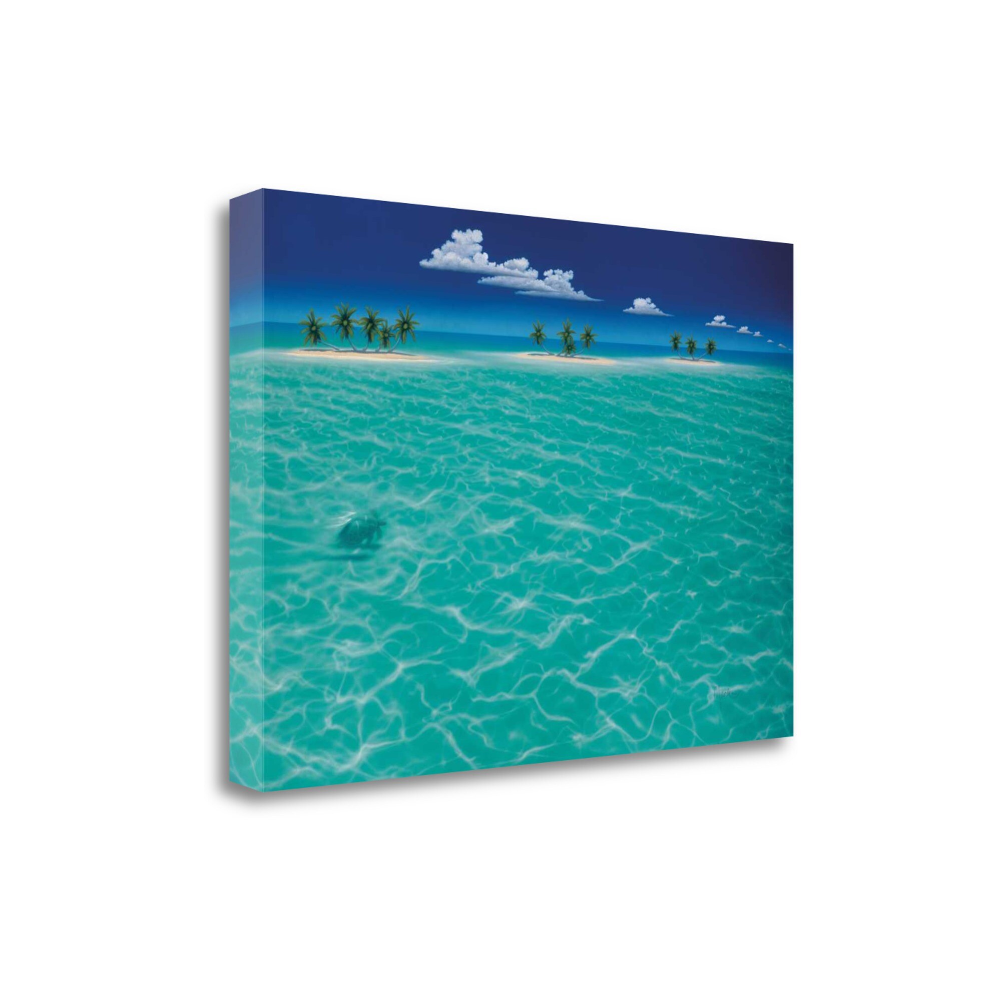 Tangletown Fine Art CAMDP401-3424C Turtle Crossing Dan Mackin 24-in H x 34-in W Coastal Print on Canvas