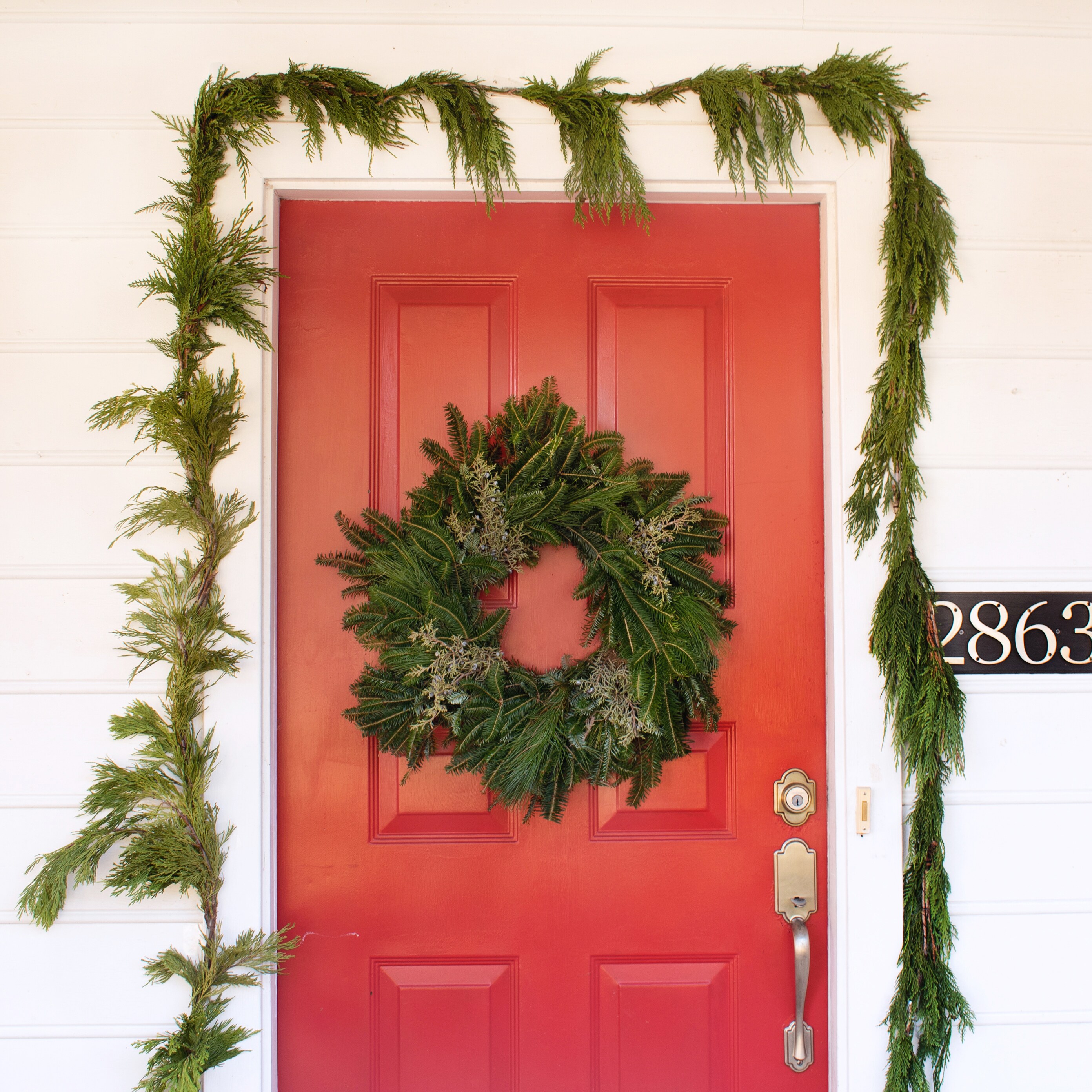 National Plant Network 20-ft Fresh Cedar Christmas Garland in the Fresh ...