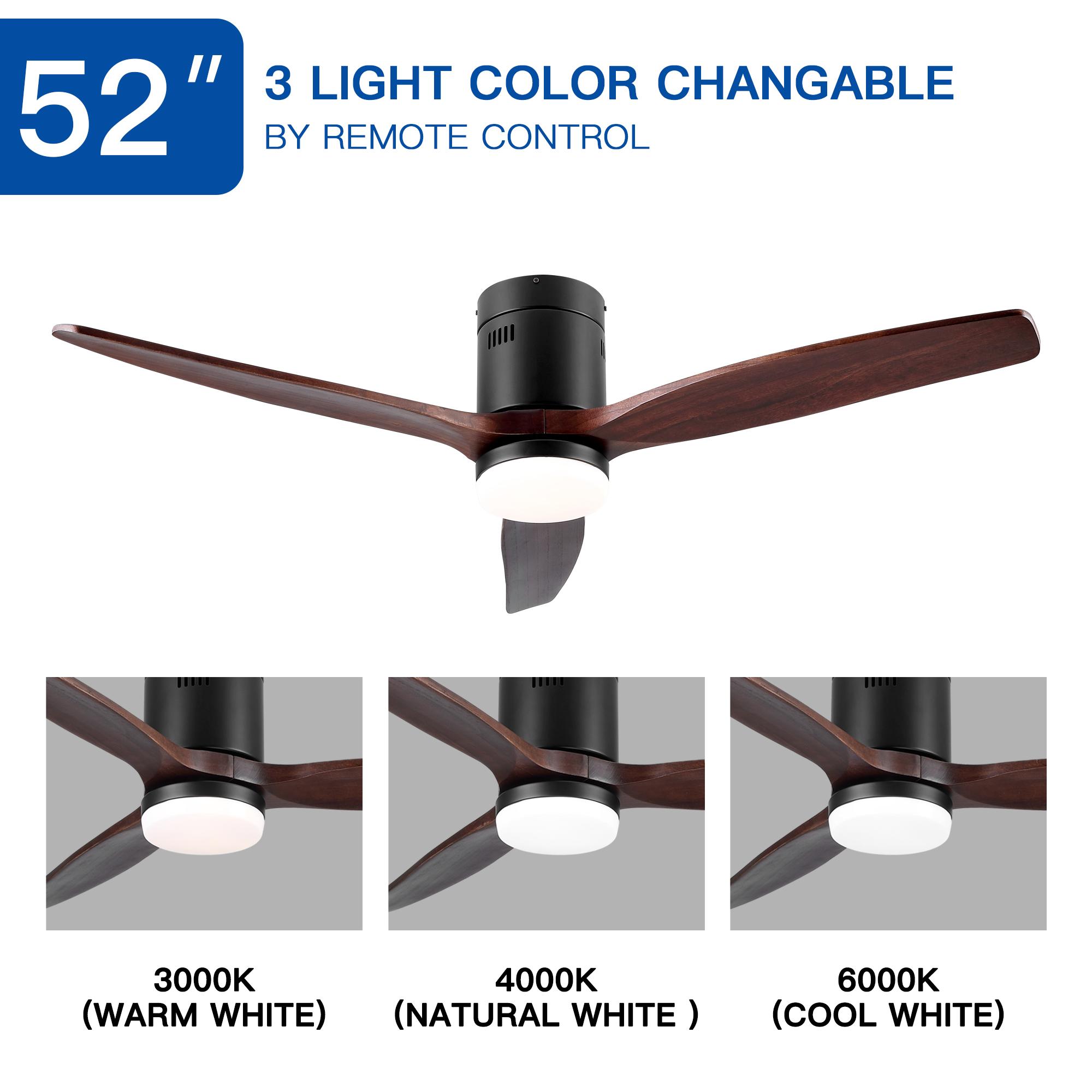 Bayfeve BFYH-71052-CF Ceiling-Fans - View #5