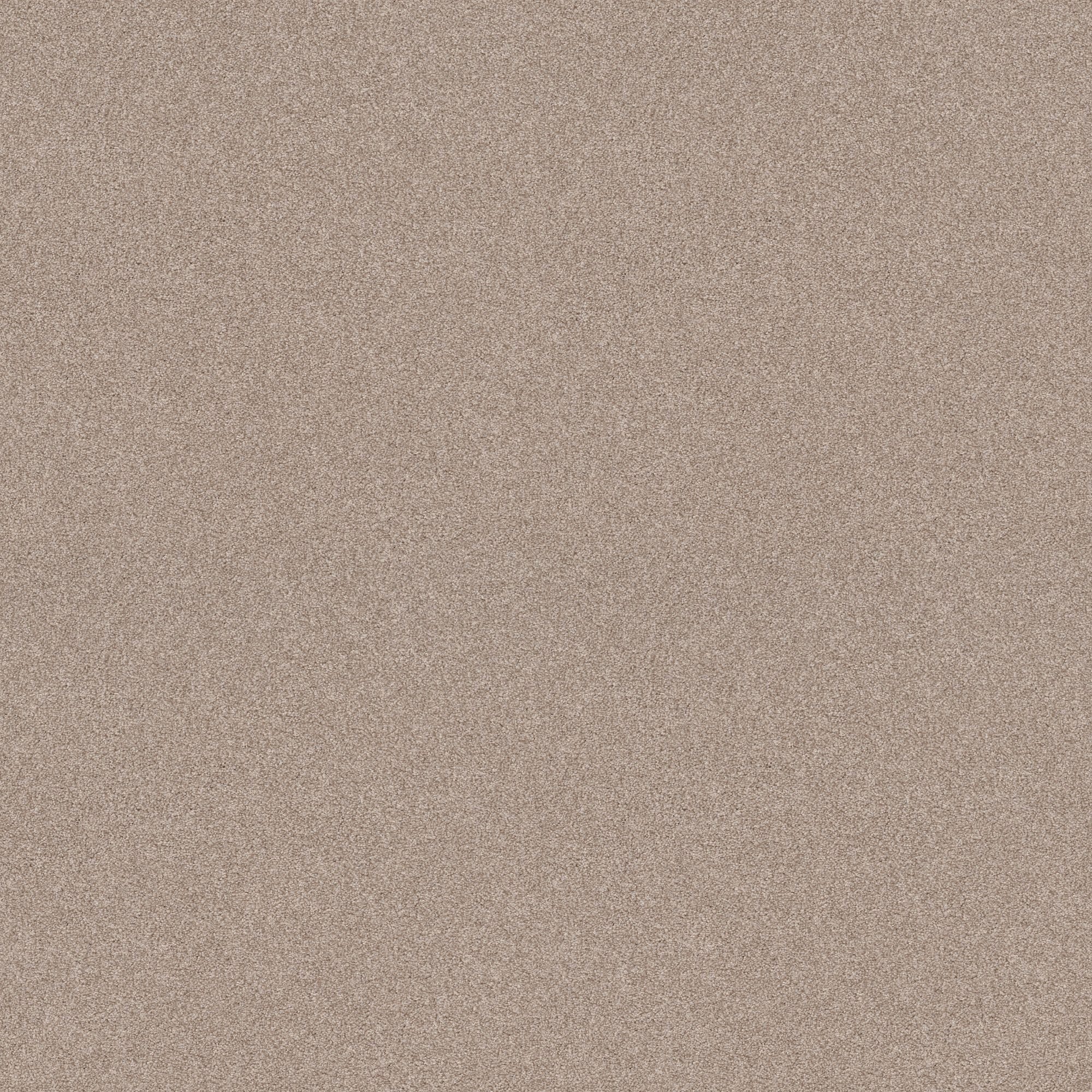 STAINMASTER PetProtect 7L906 - 803 - SAMP (Sample) Paws Down I Heirloom Brown 34.1-oz sq yard Nylon Textured Indoor Carpet